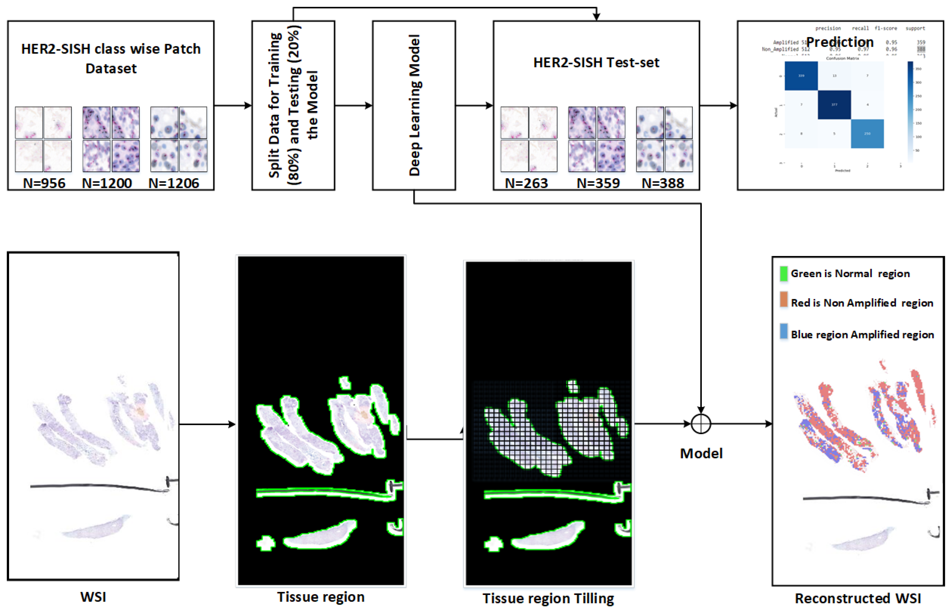 Cancers 16 03794 g002
