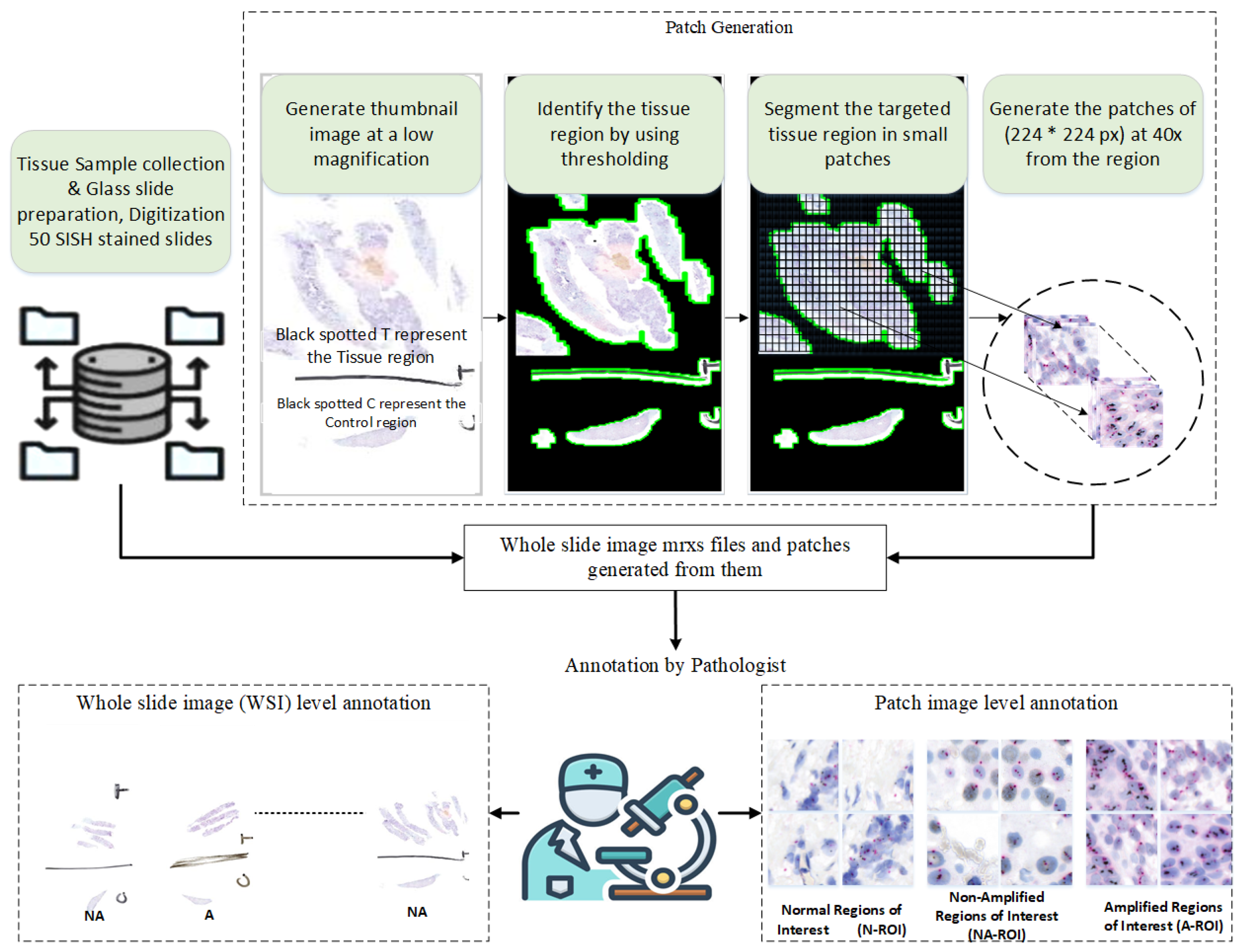 Cancers 16 03794 g003