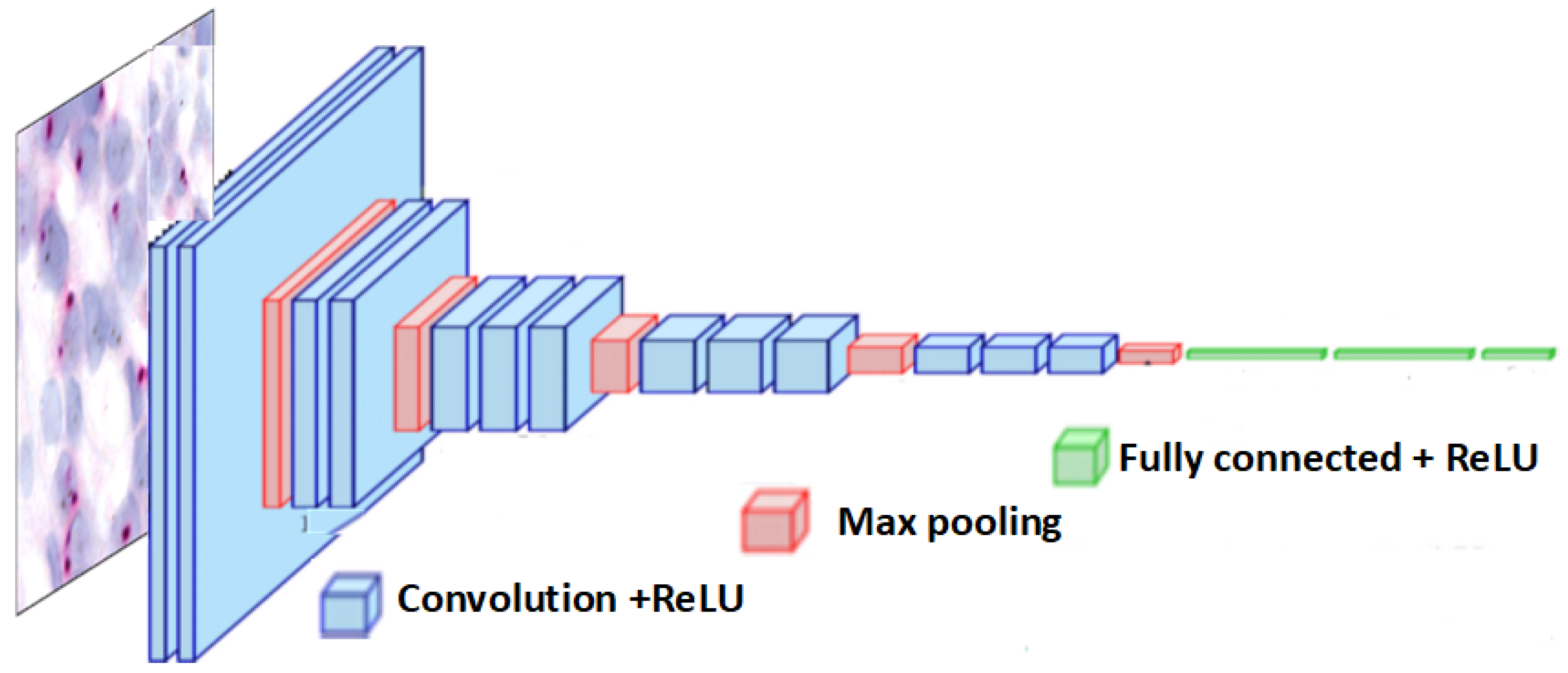 Cancers 16 03794 g007