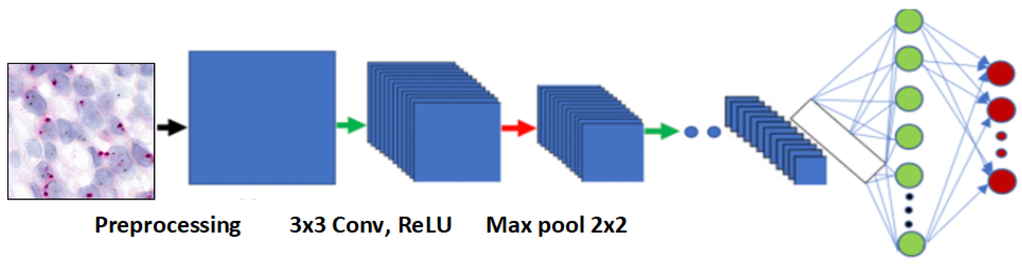 Cancers 16 03794 g008