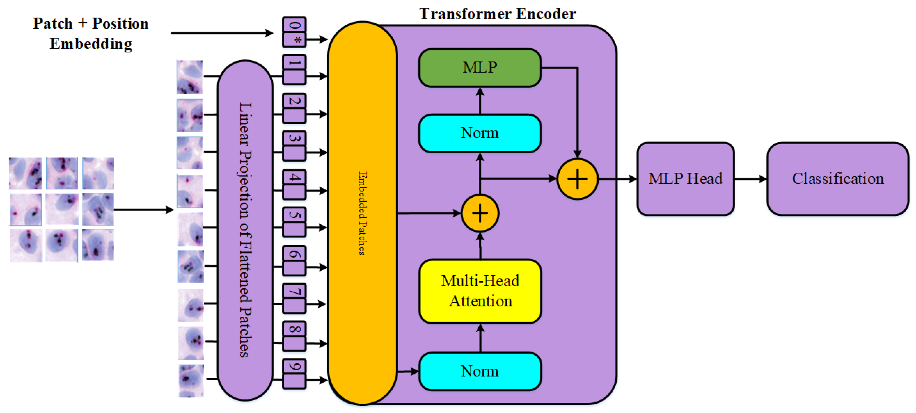Cancers 16 03794 g009