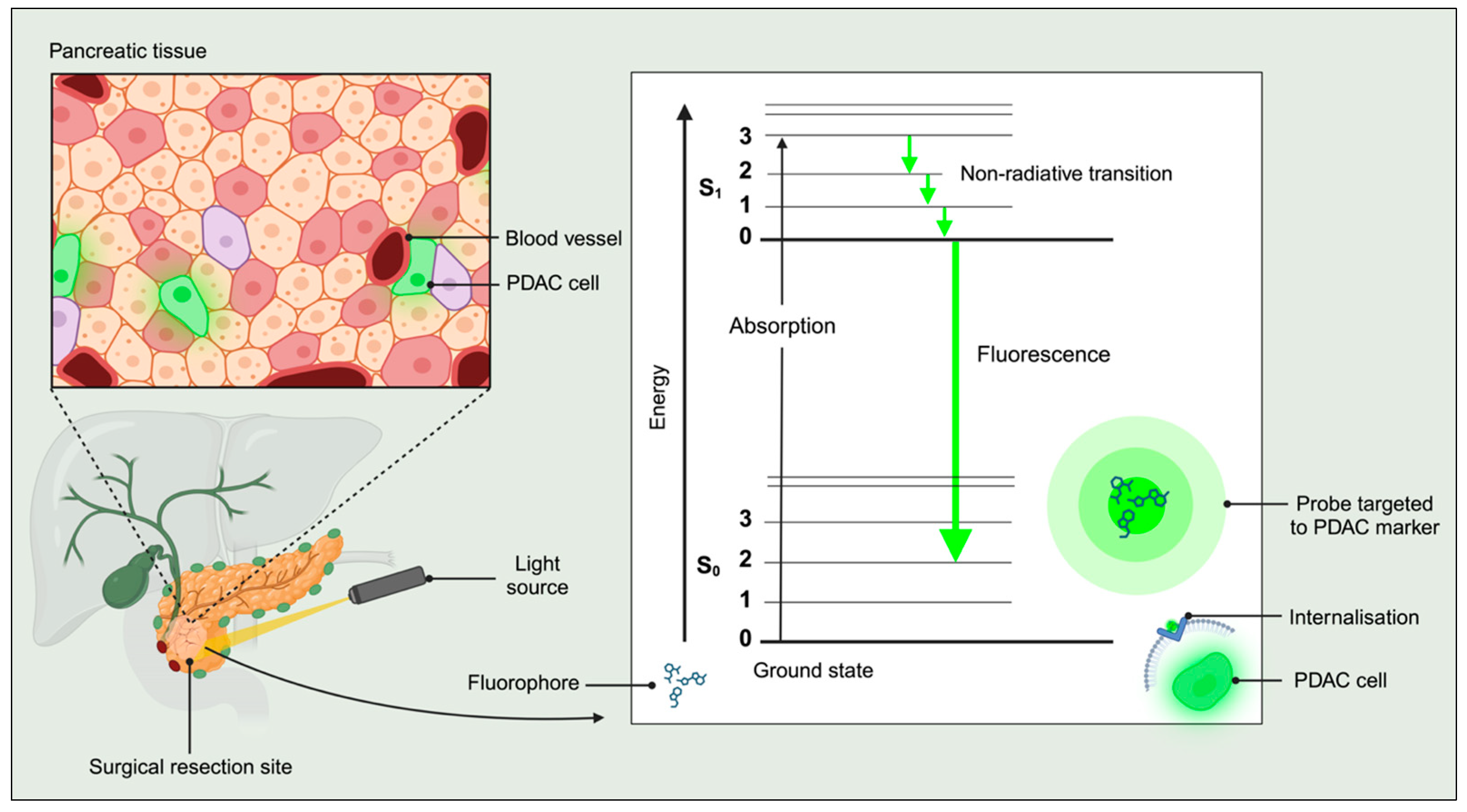 Cancers 16 03803 g002