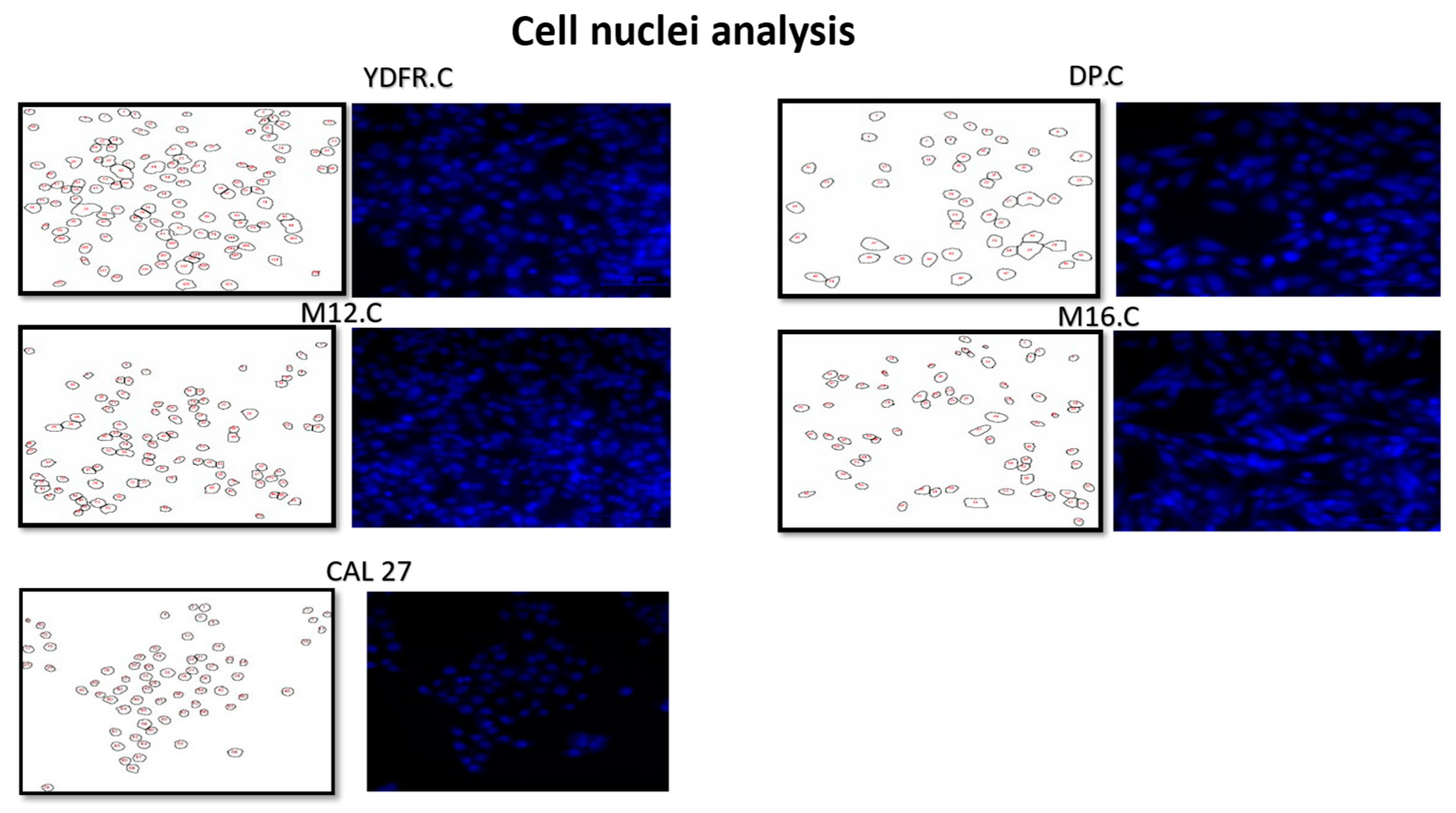 Cancers 16 03804 g004