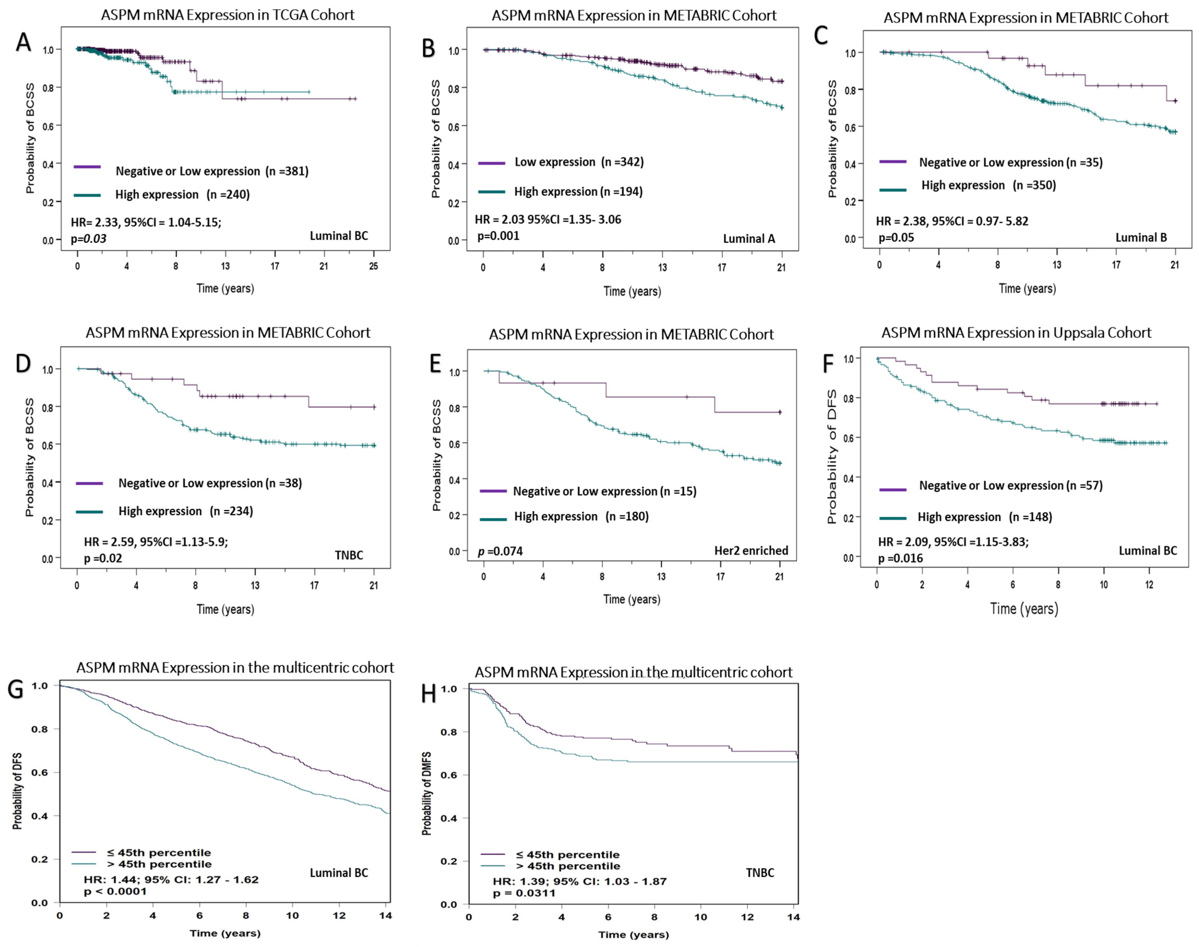 Cancers 16 03814 g002