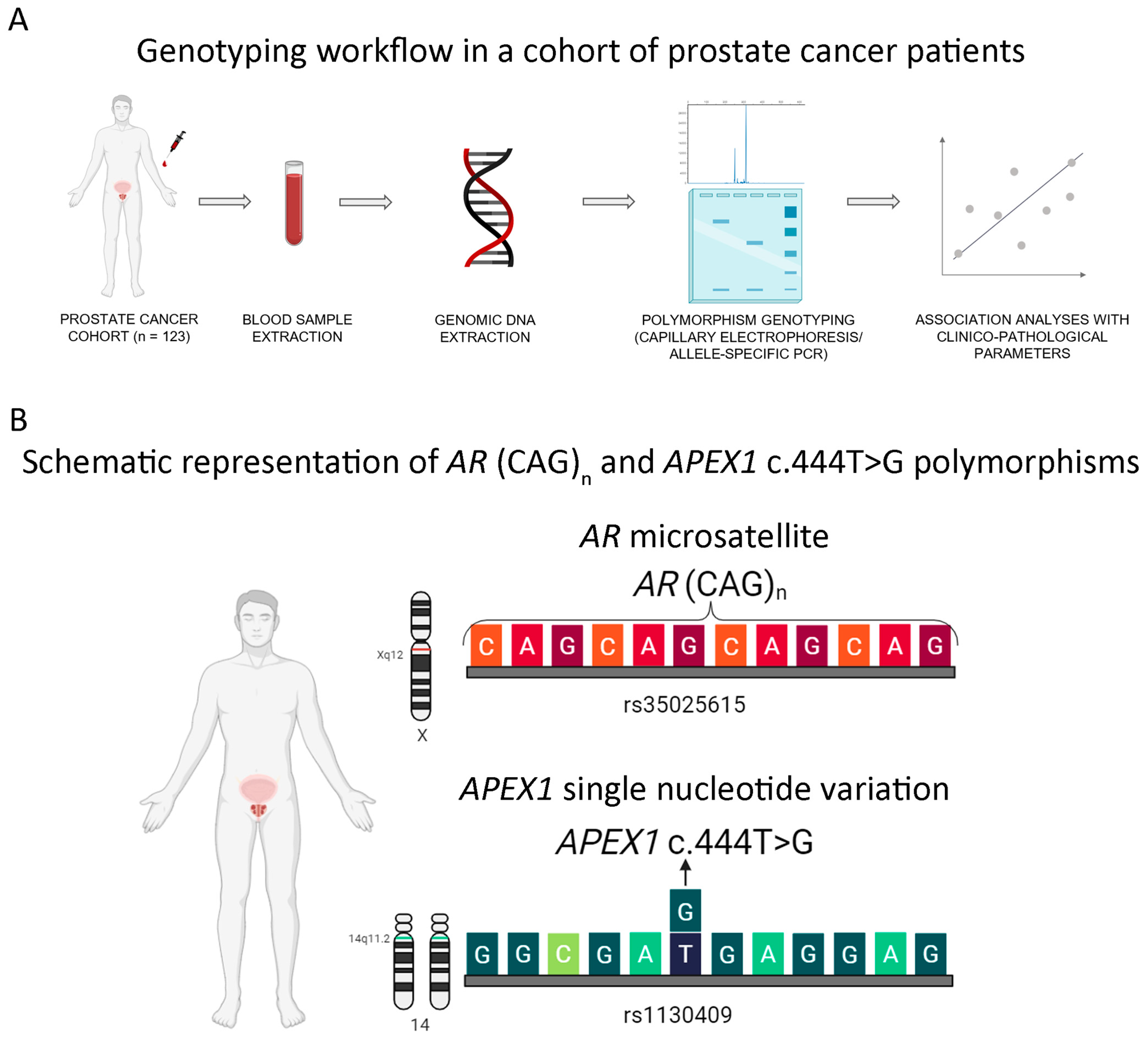 Cancers 16 03815 g001 Cancers 16 03815 g001