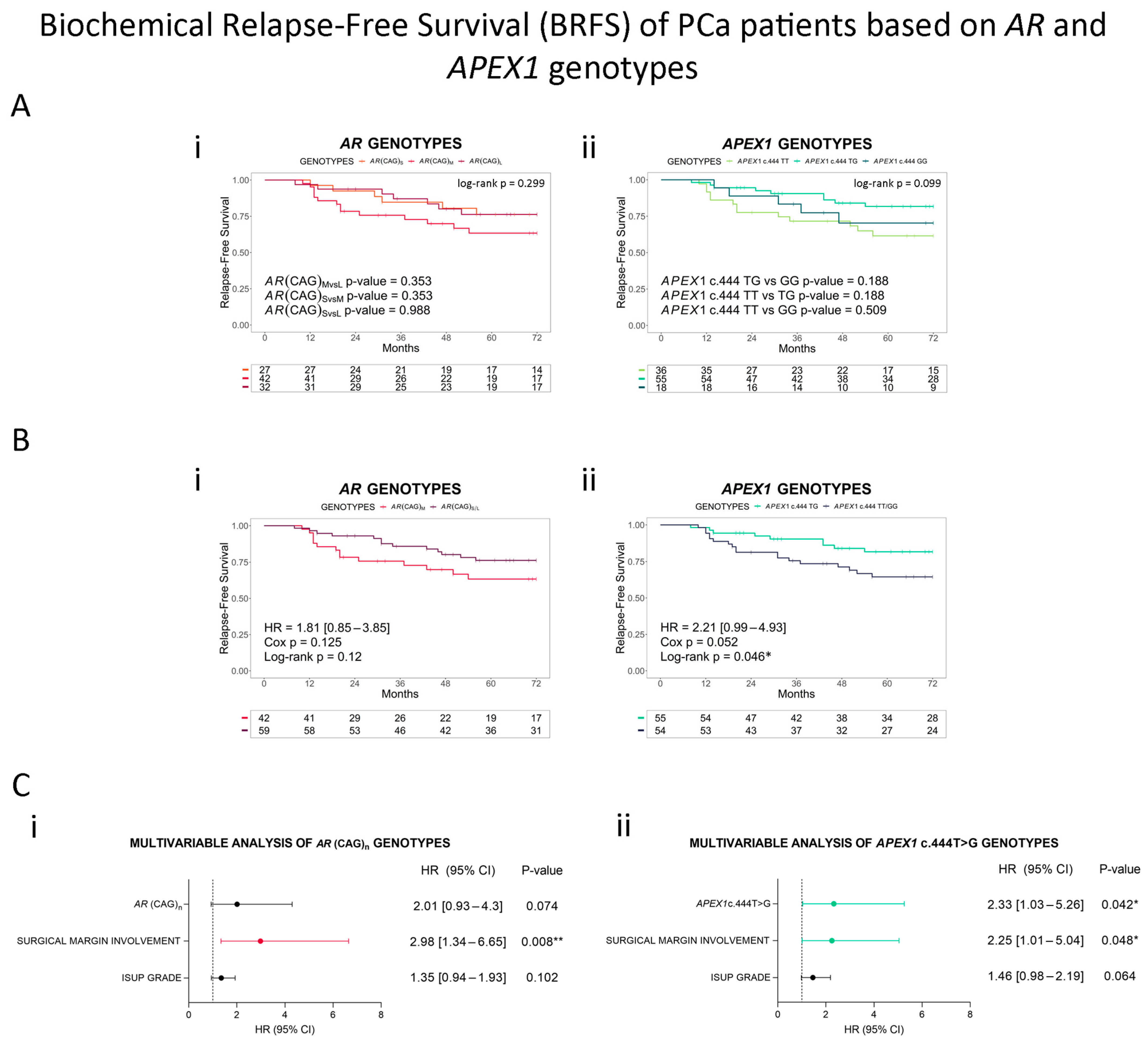 Cancers 16 03815 g003 Cancers 16 03815 g003