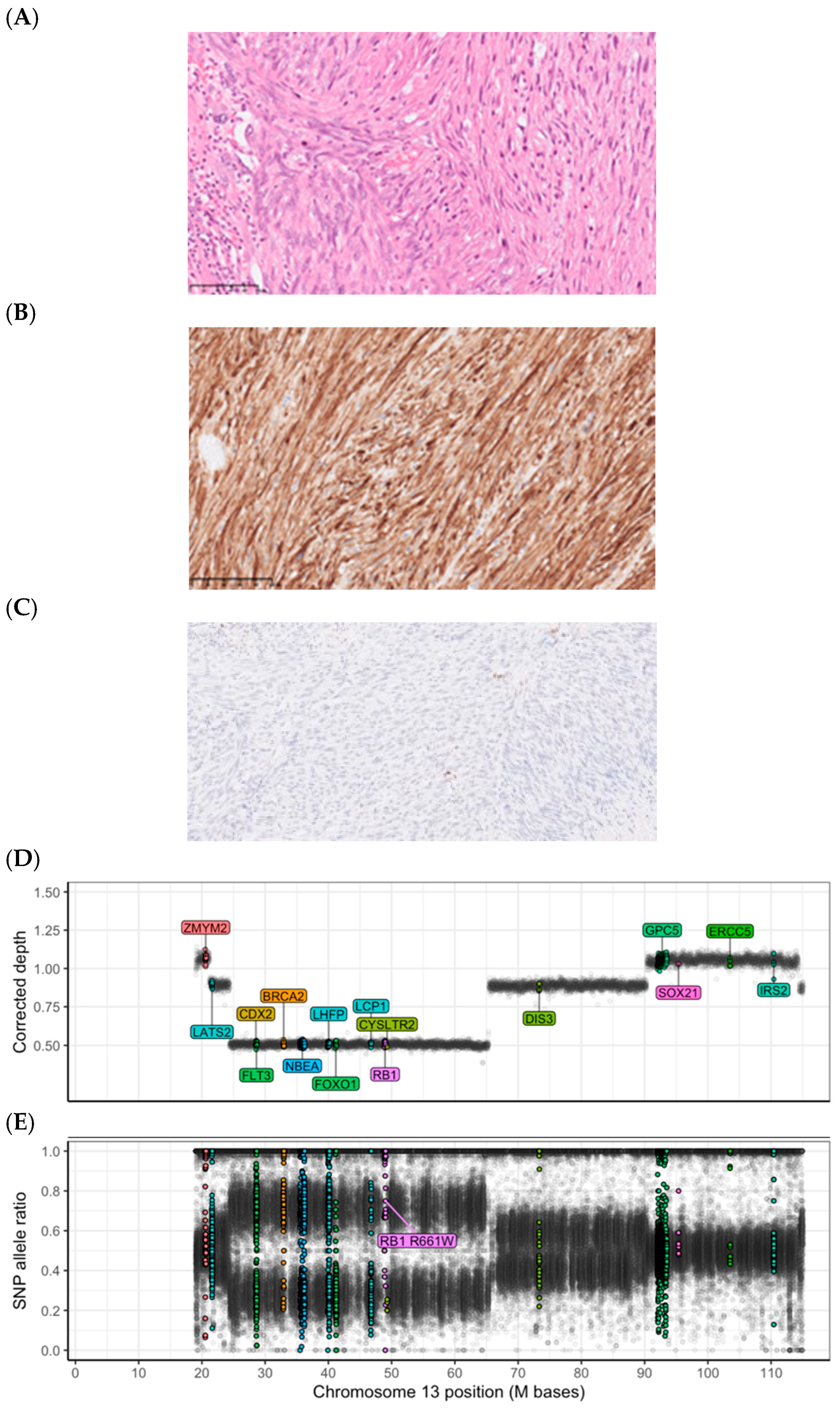 Cancers 16 03816 g001