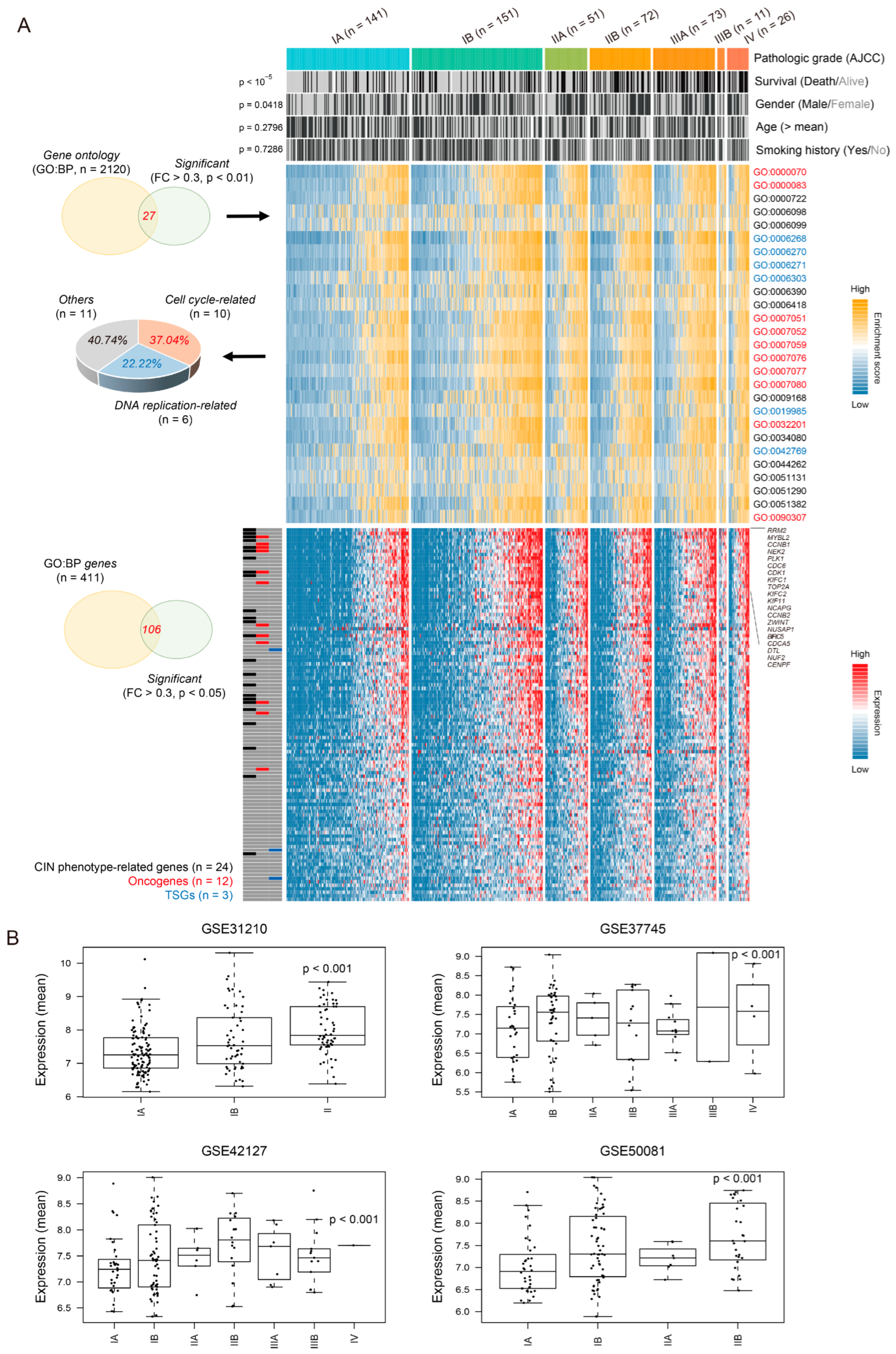 Cancers 16 03818 g001 Cancers 16 03818 g001