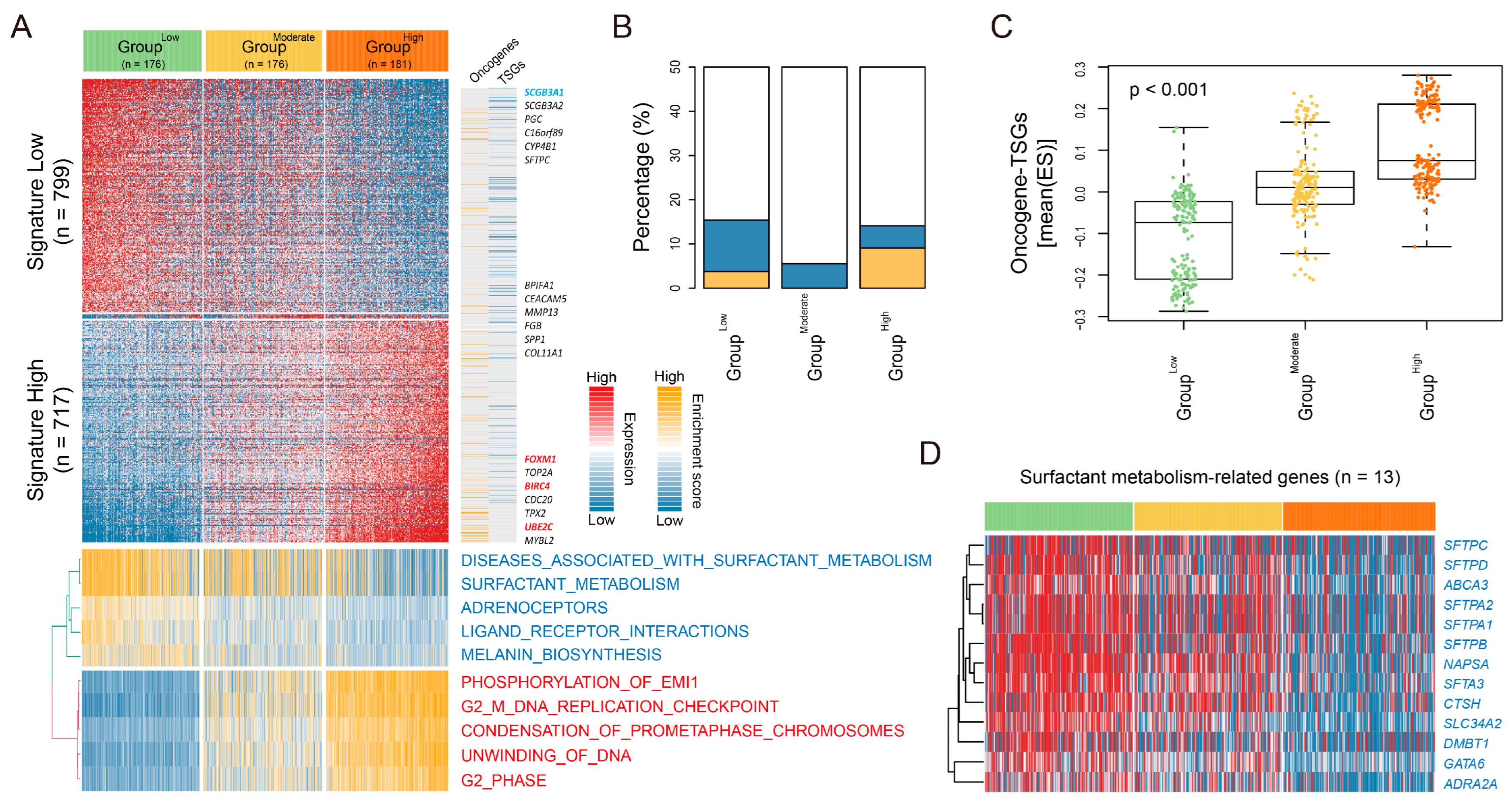 Cancers 16 03818 g003 Cancers 16 03818 g003