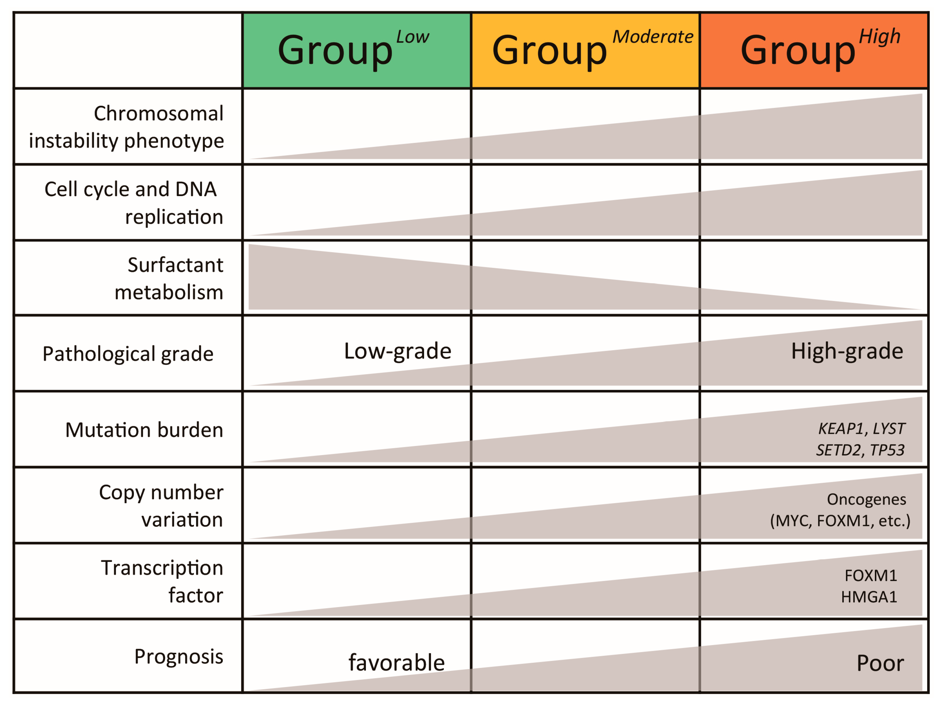 Cancers 16 03818 g007 Cancers 16 03818 g007
