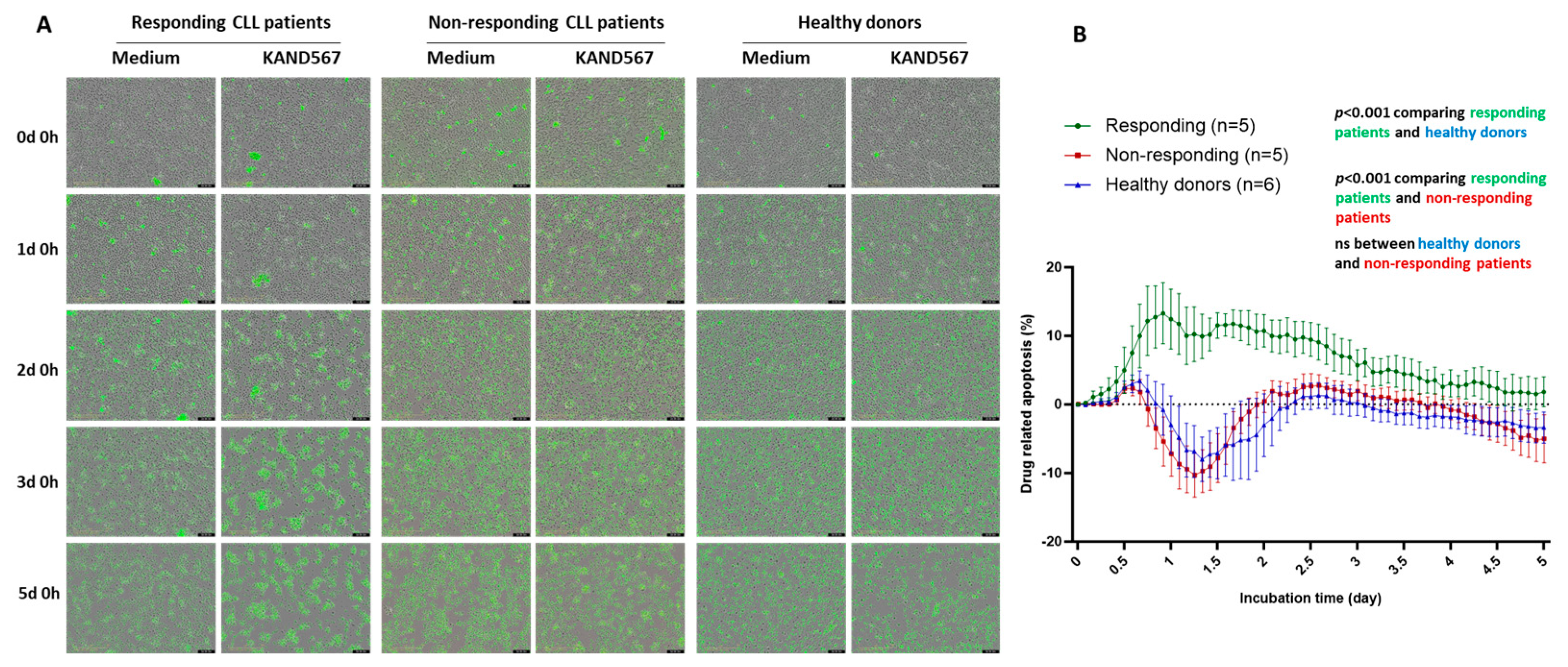 Cancers 16 03821 g006