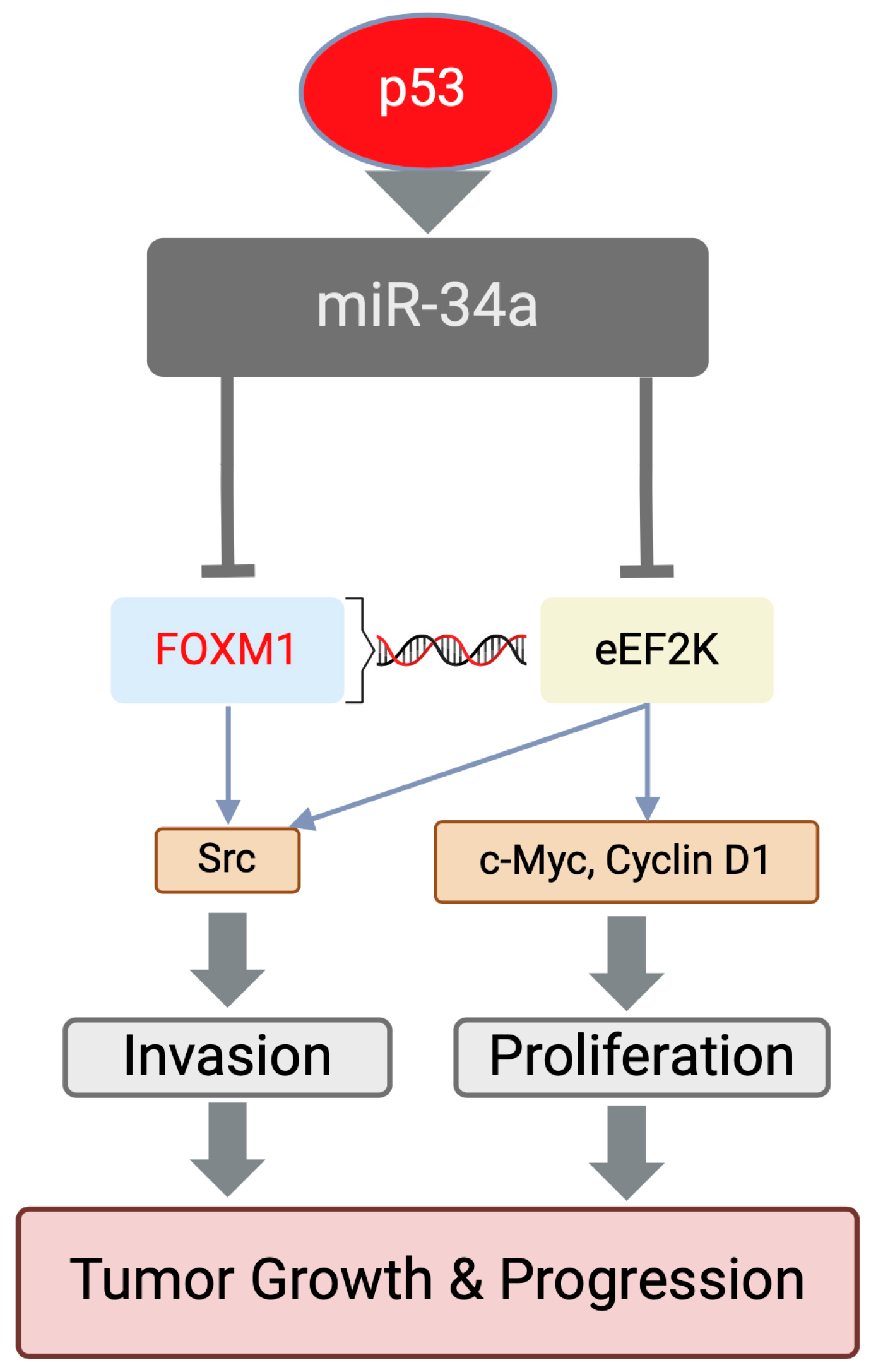 Cancers 16 03823 g003