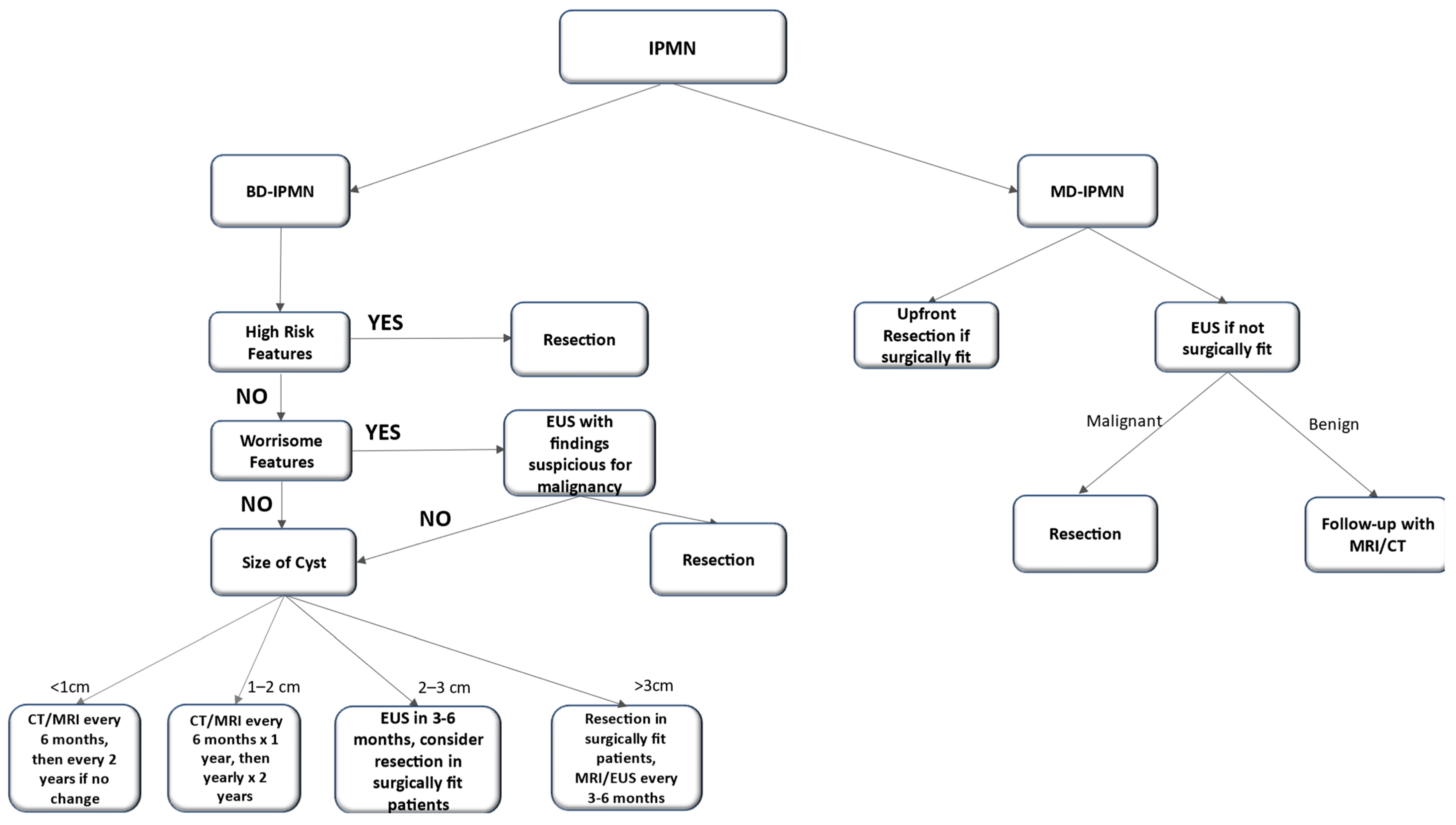 Cancers 16 03825 g002