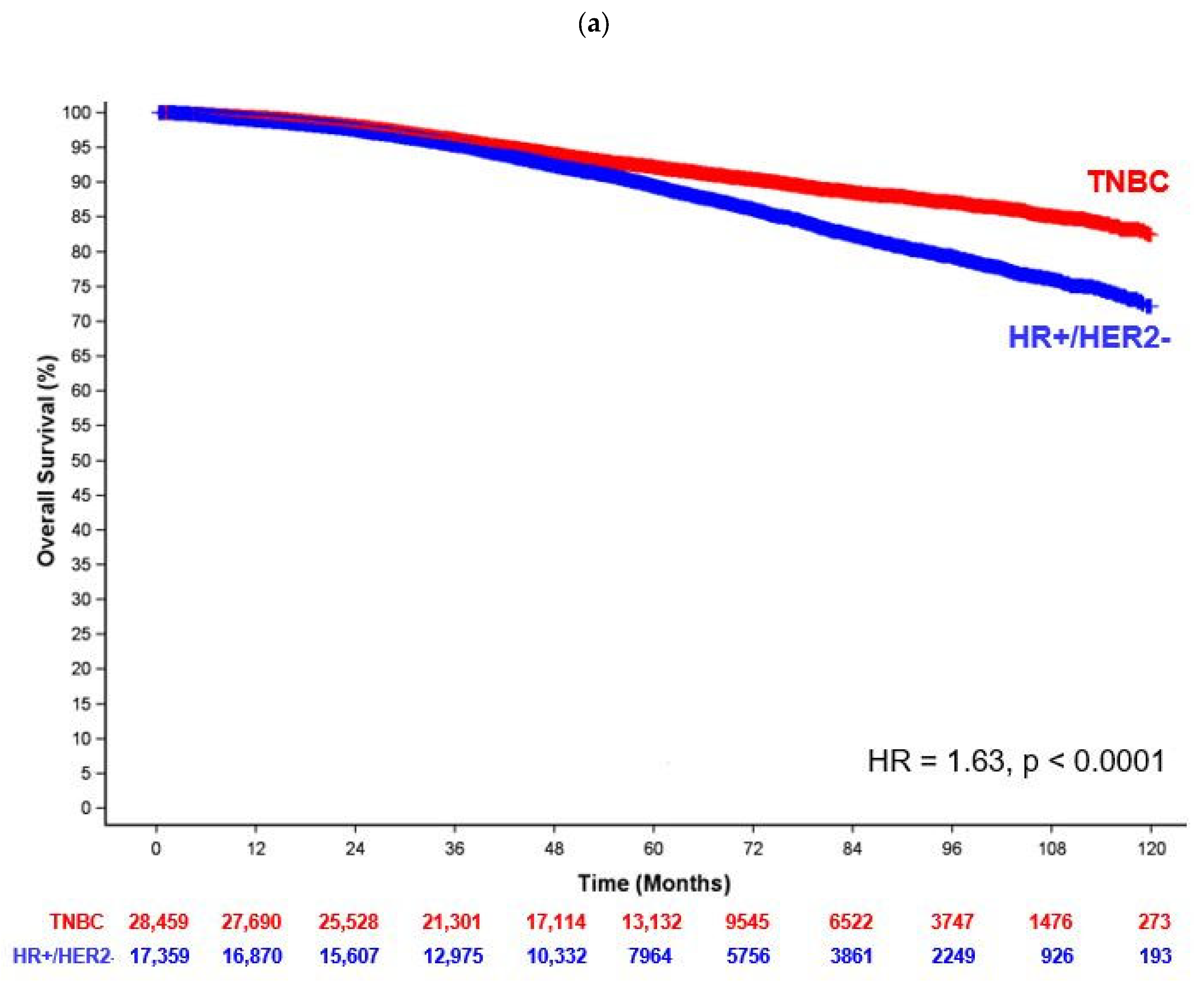 Cancers 16 03830 g001a