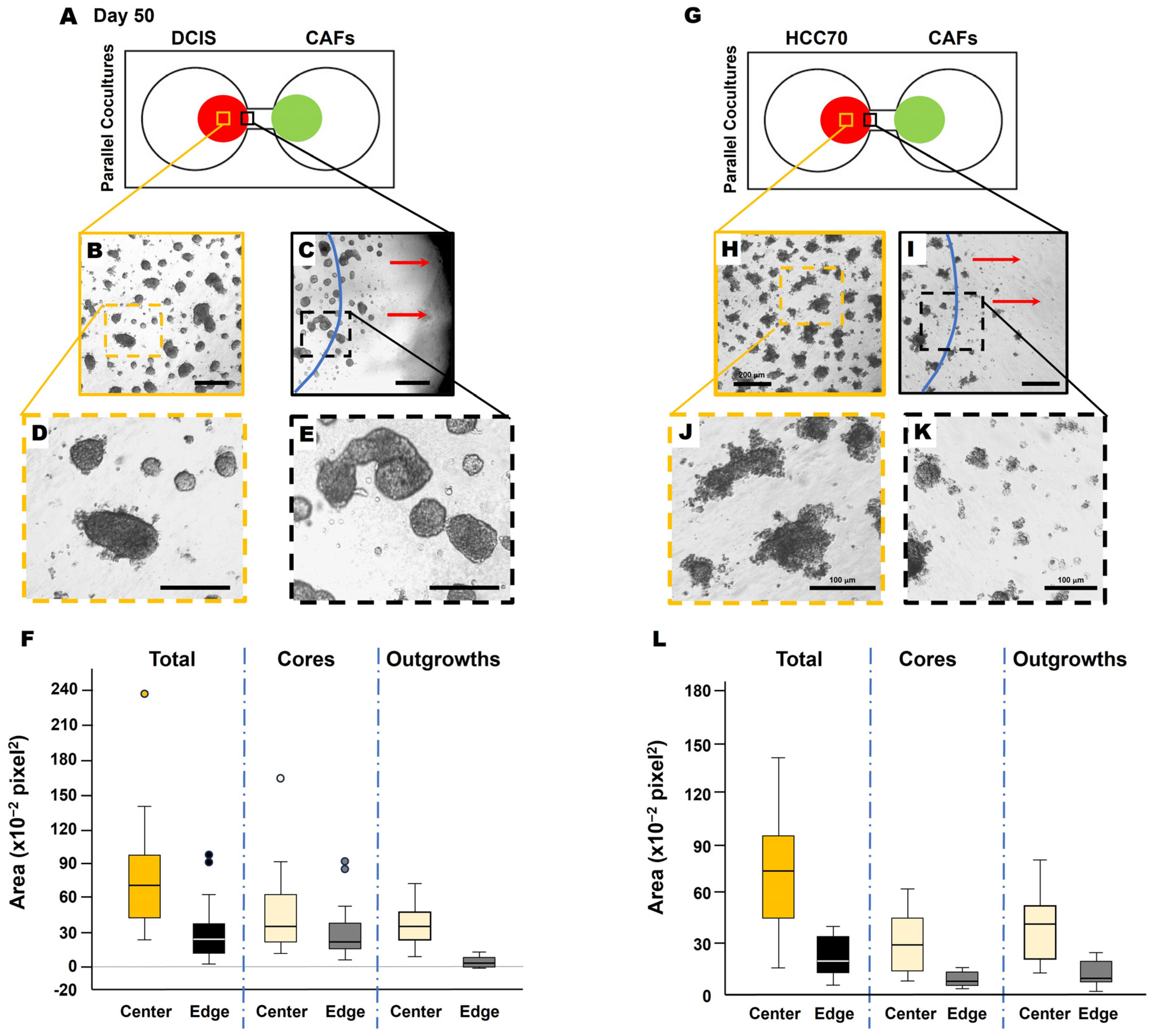 Cancers 16 03840 g005 Cancers 16 03840 g005