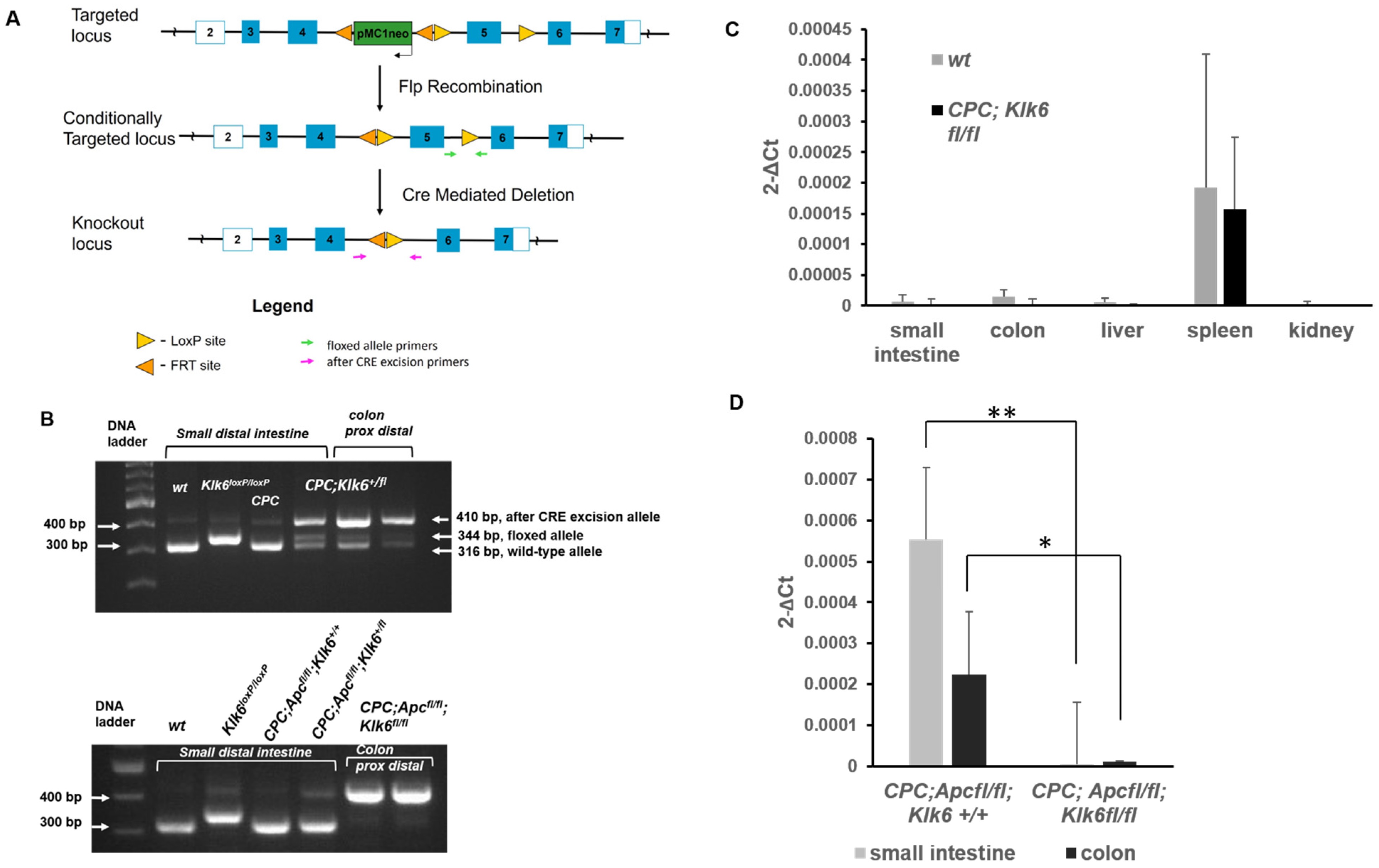 Cancers 16 03842 g003