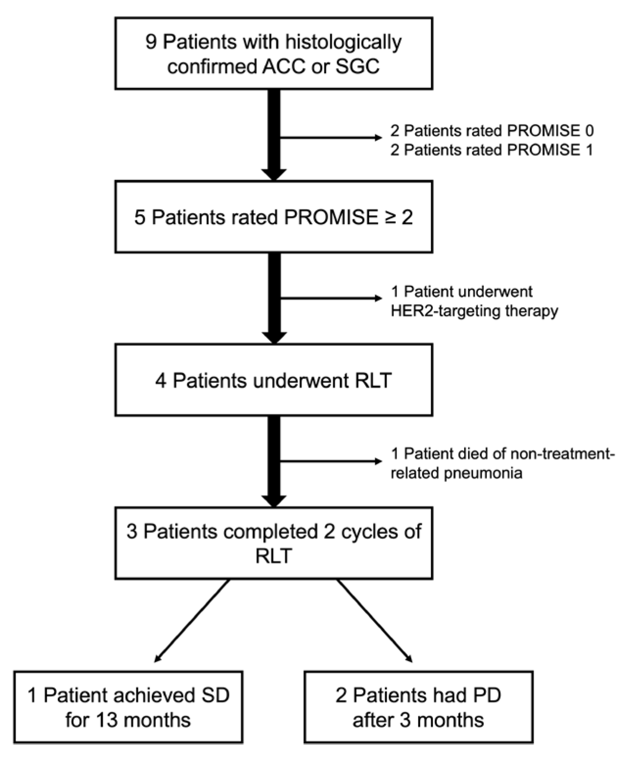 Cancers 16 03843 g001
