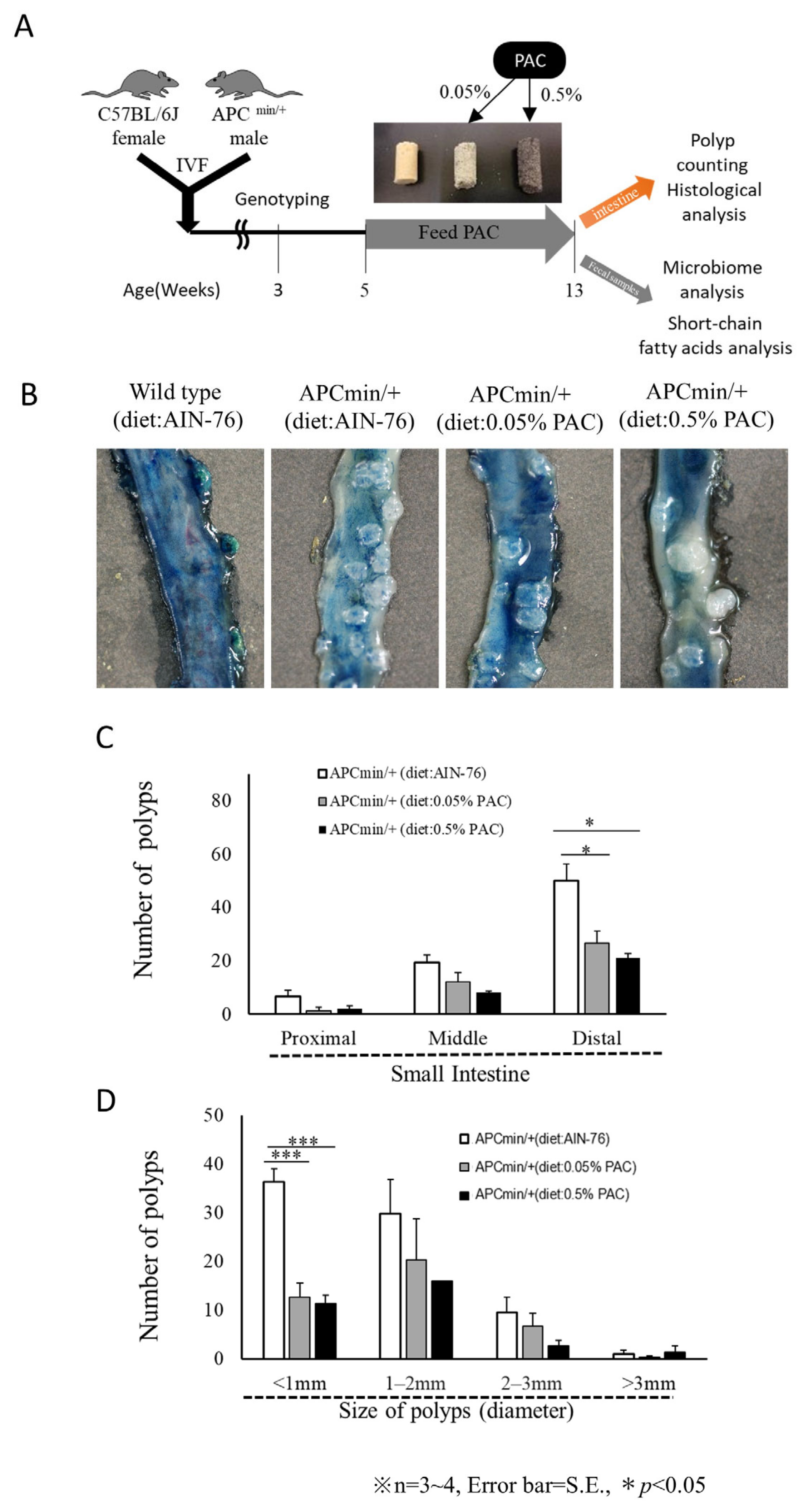 Cancers 16 03846 g002