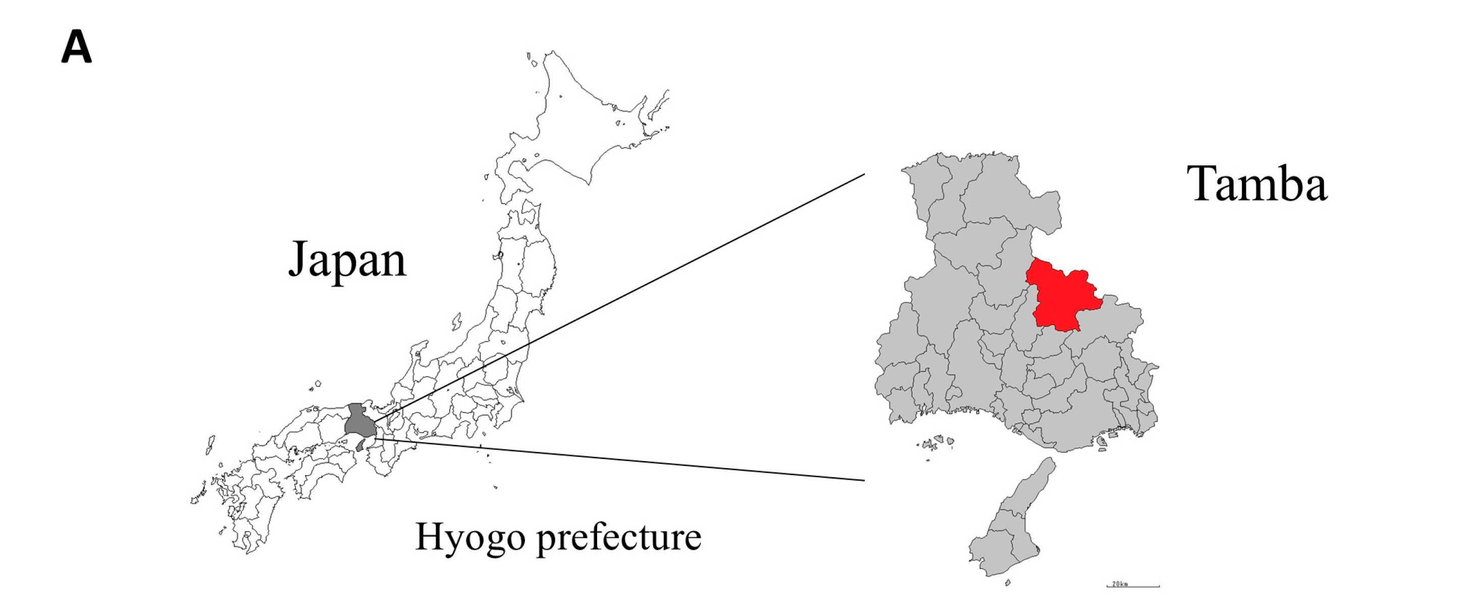 Cancers 16 03846 g007a