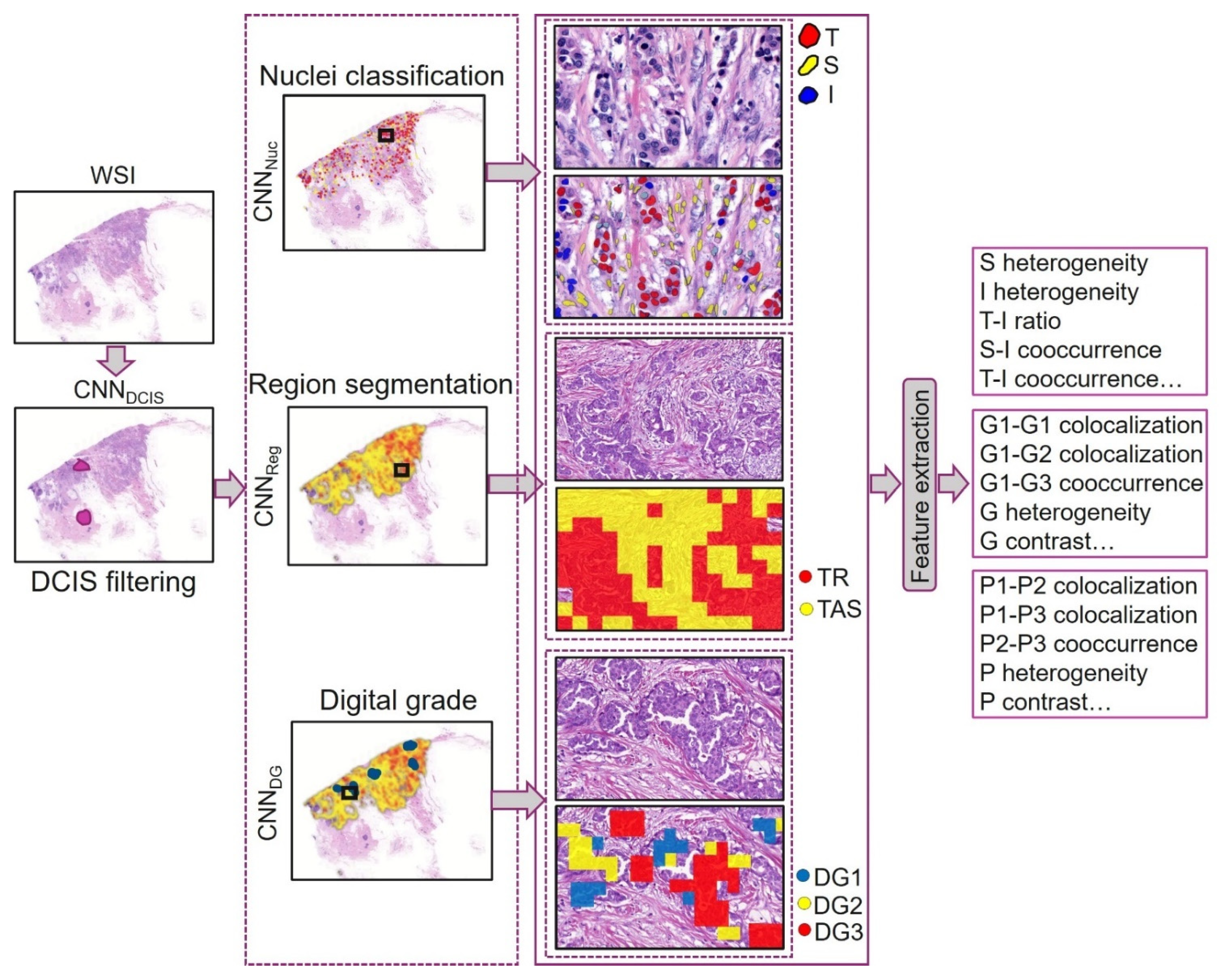 Cancers 16 03849 g002