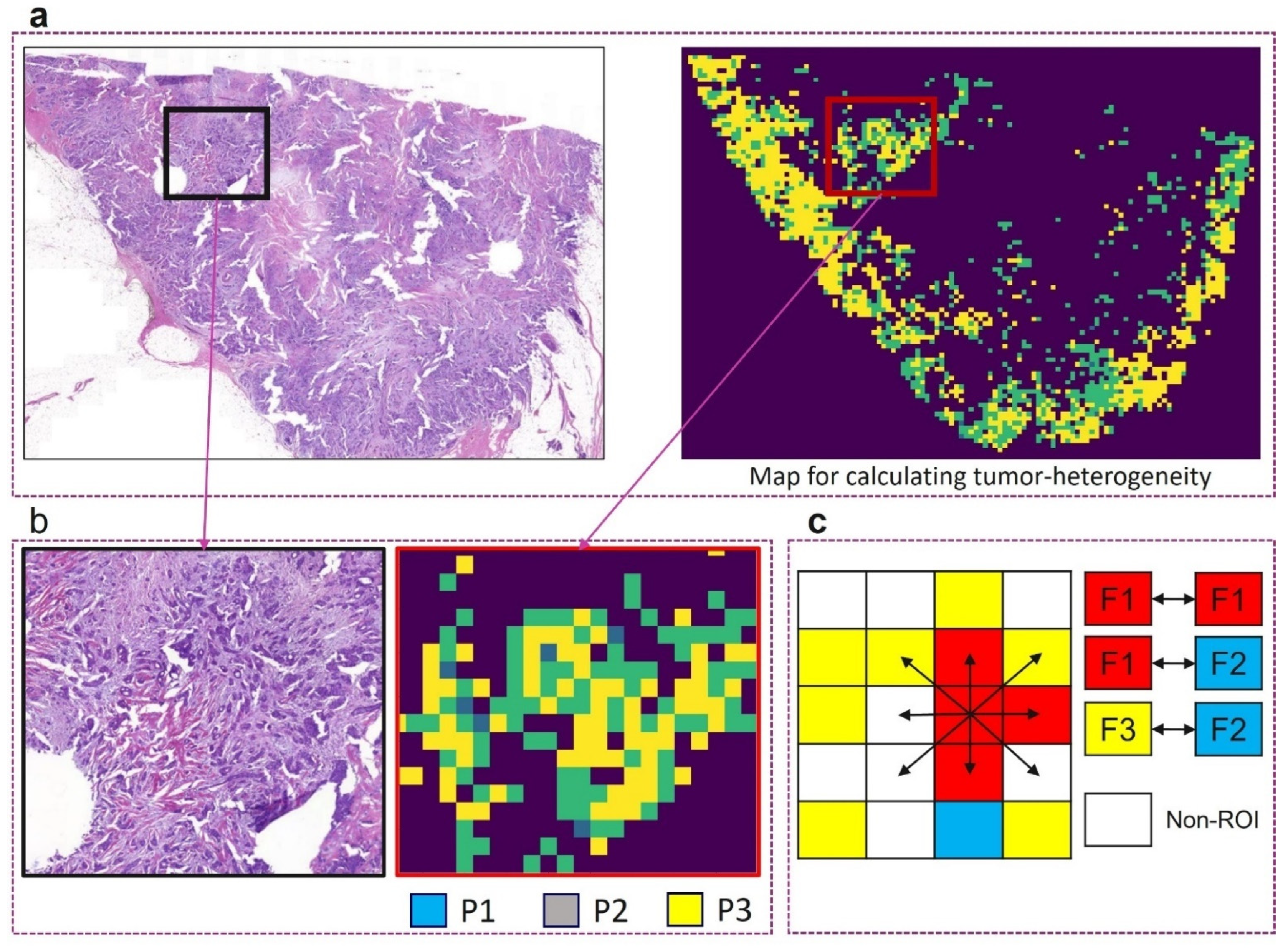 Cancers 16 03849 g004