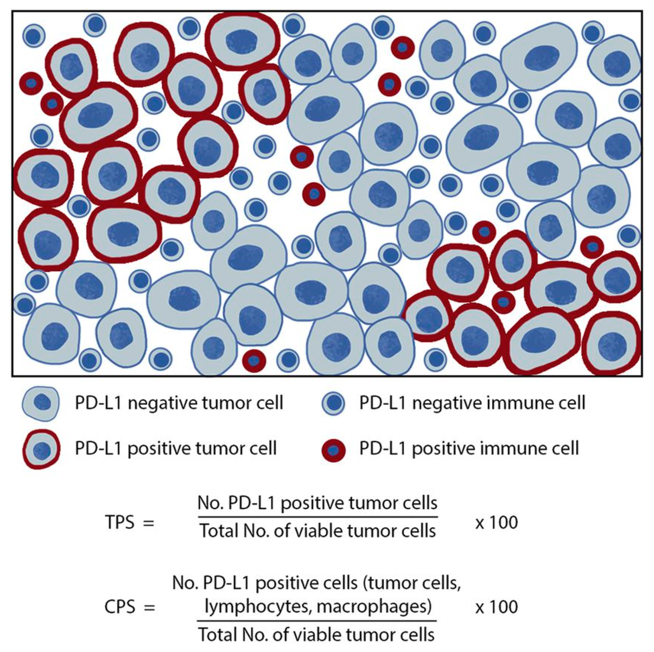 Cancers 16 03859 g001