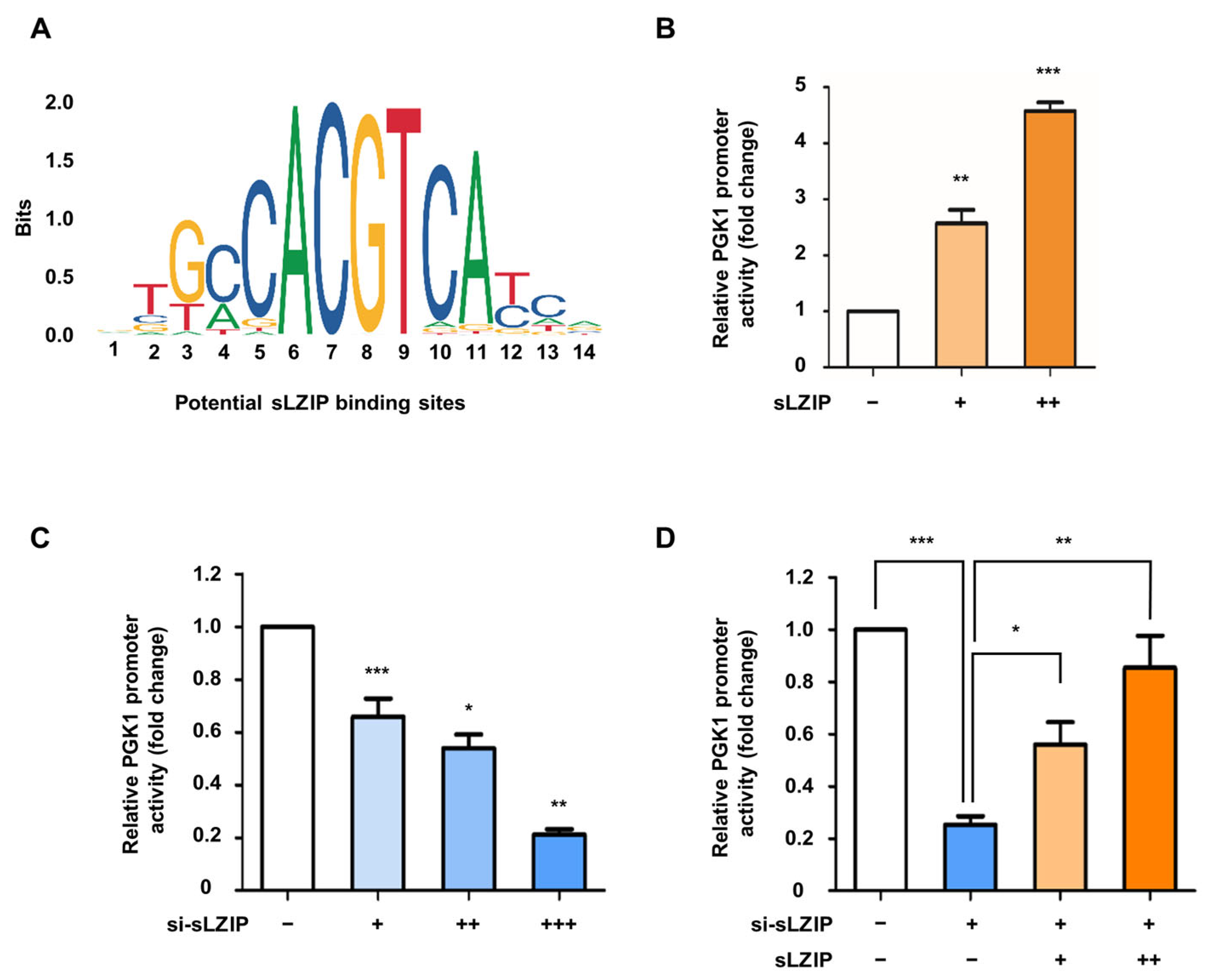 Cancers 16 03861 g002