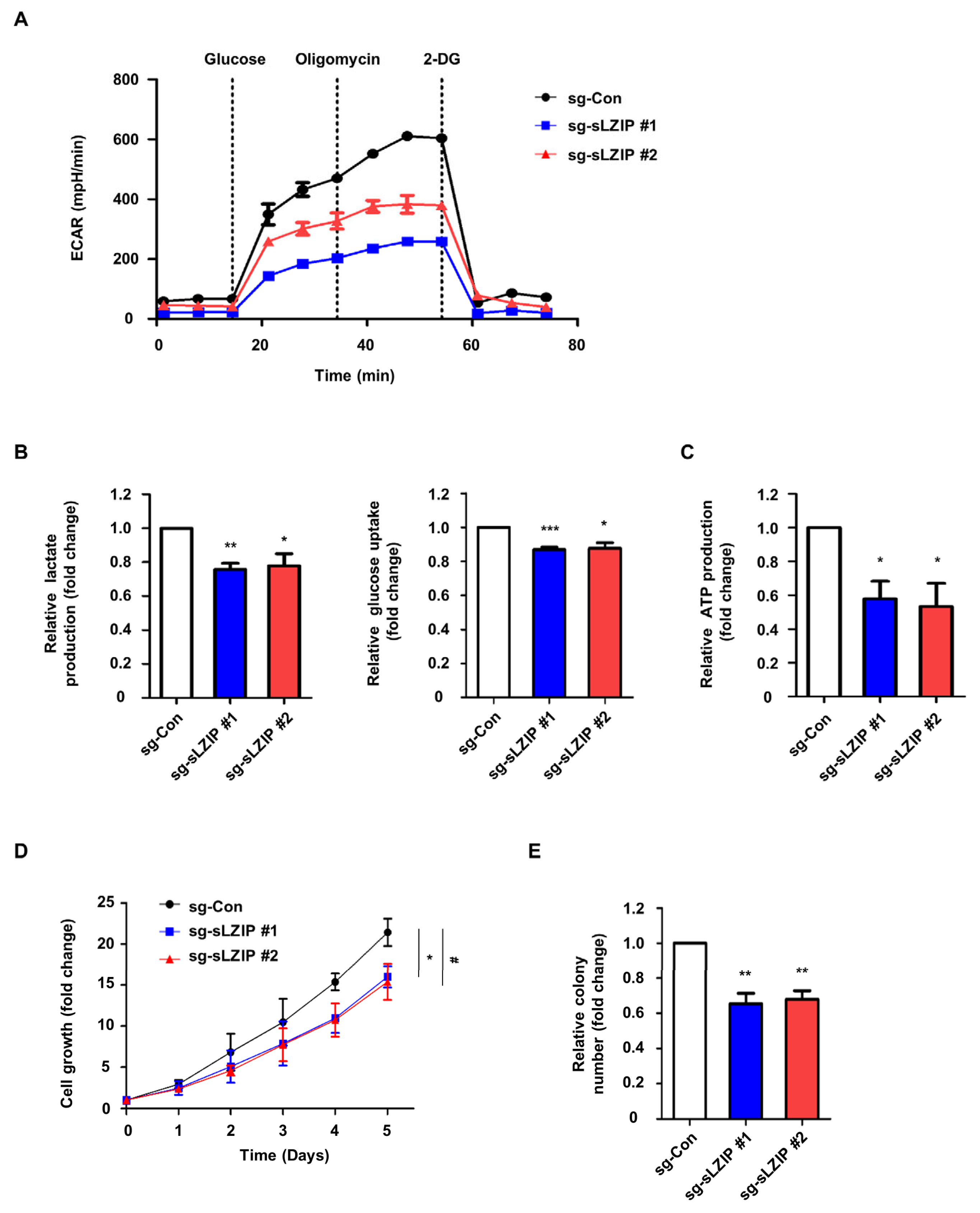 Cancers 16 03861 g003