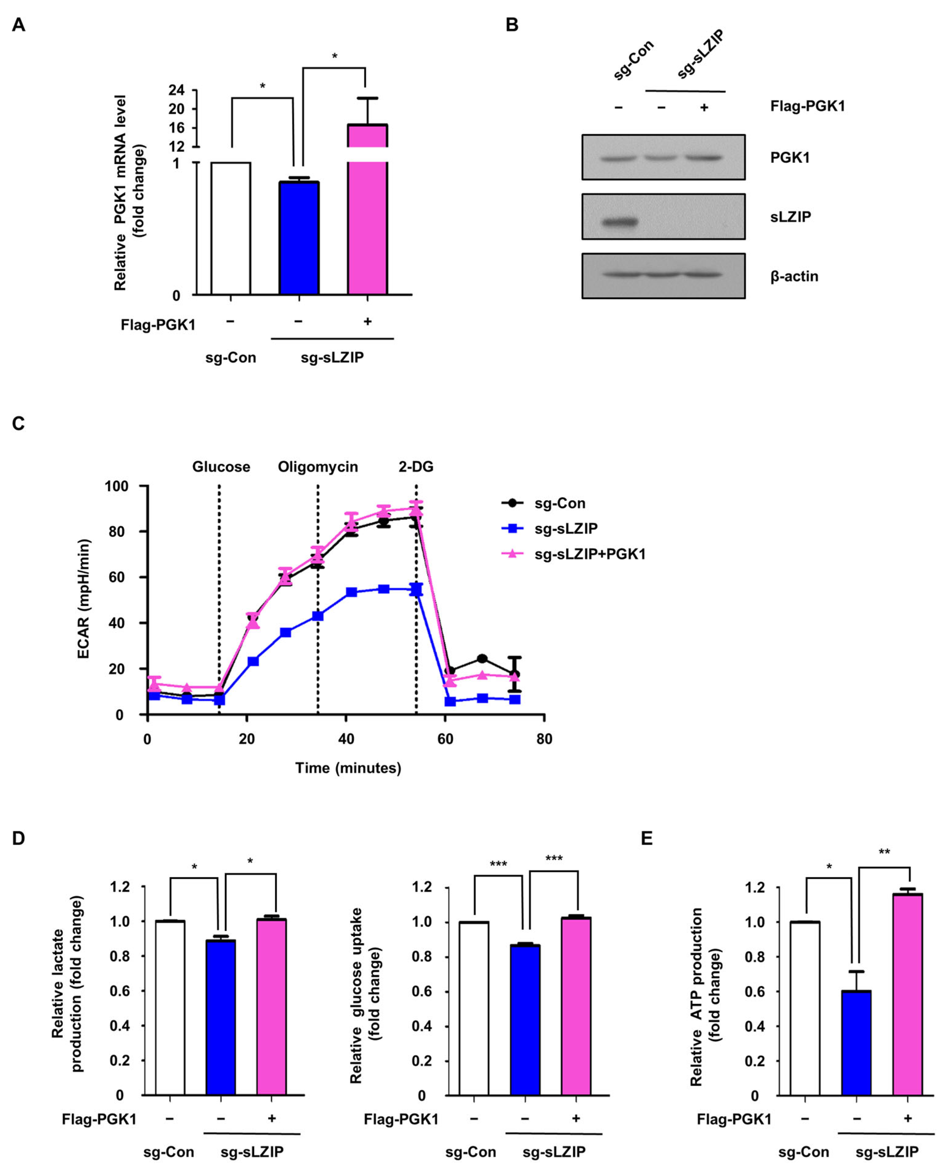 Cancers 16 03861 g004