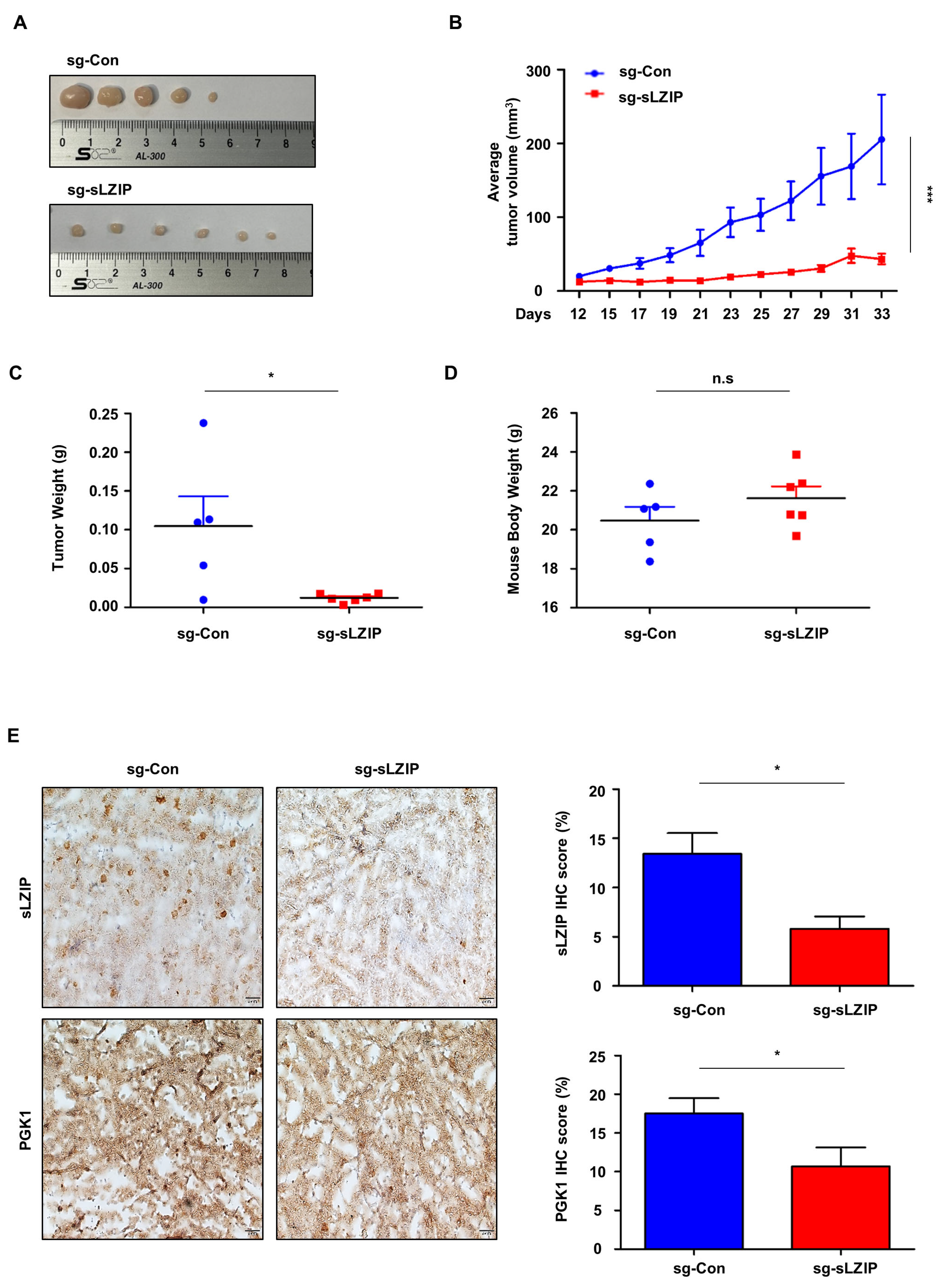 Cancers 16 03861 g005
