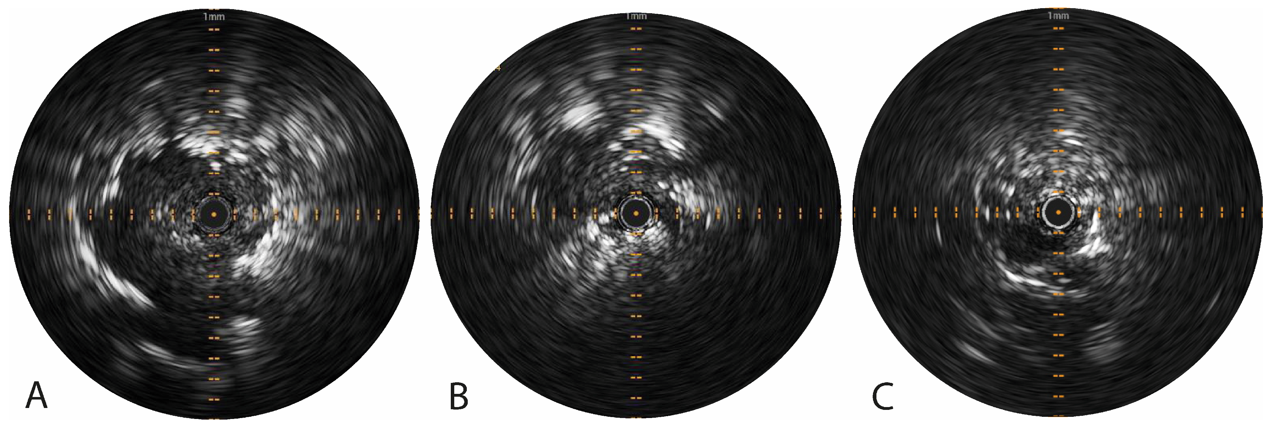 Cancers 16 03868 g002