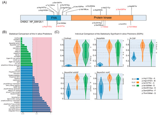 Molecular and In Silico Analysis of the CHEK2 Gene in Individuals with ...