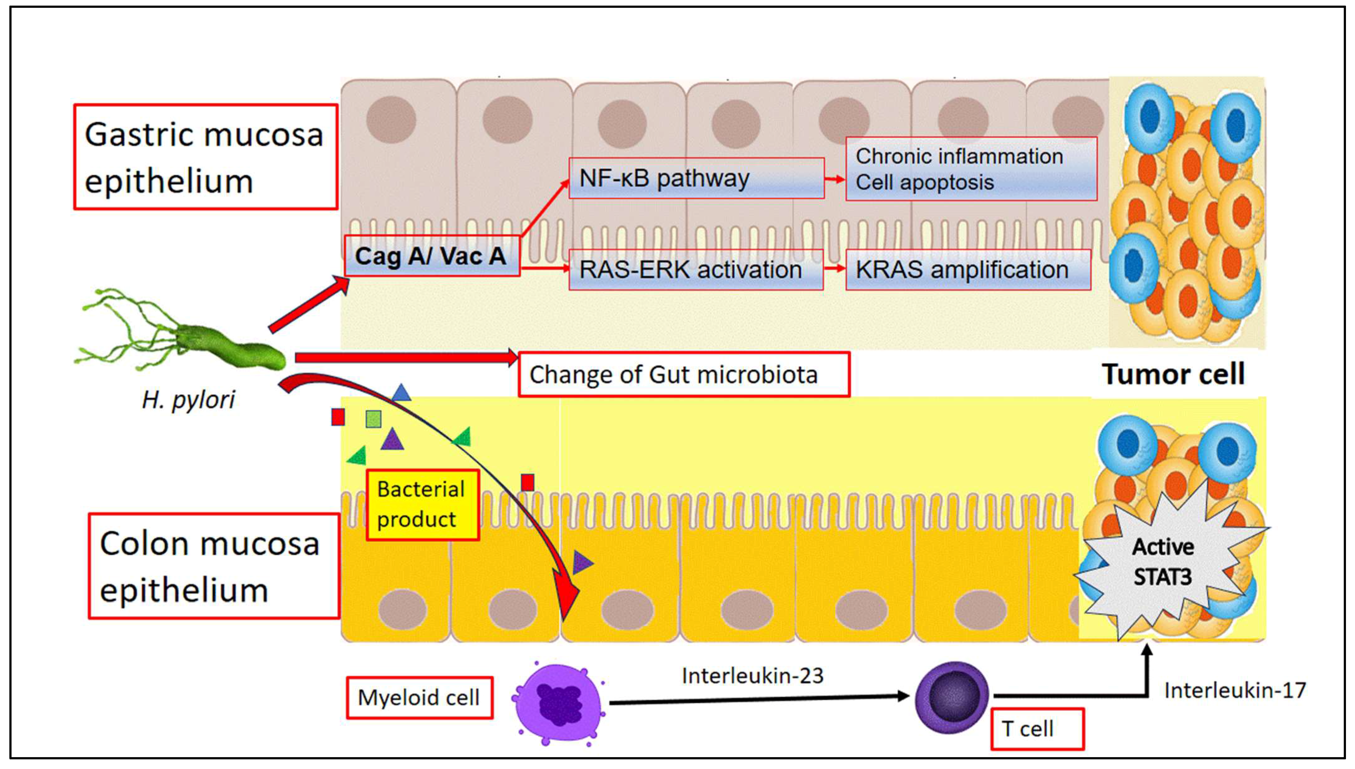 Cancers 16 03881 g001
