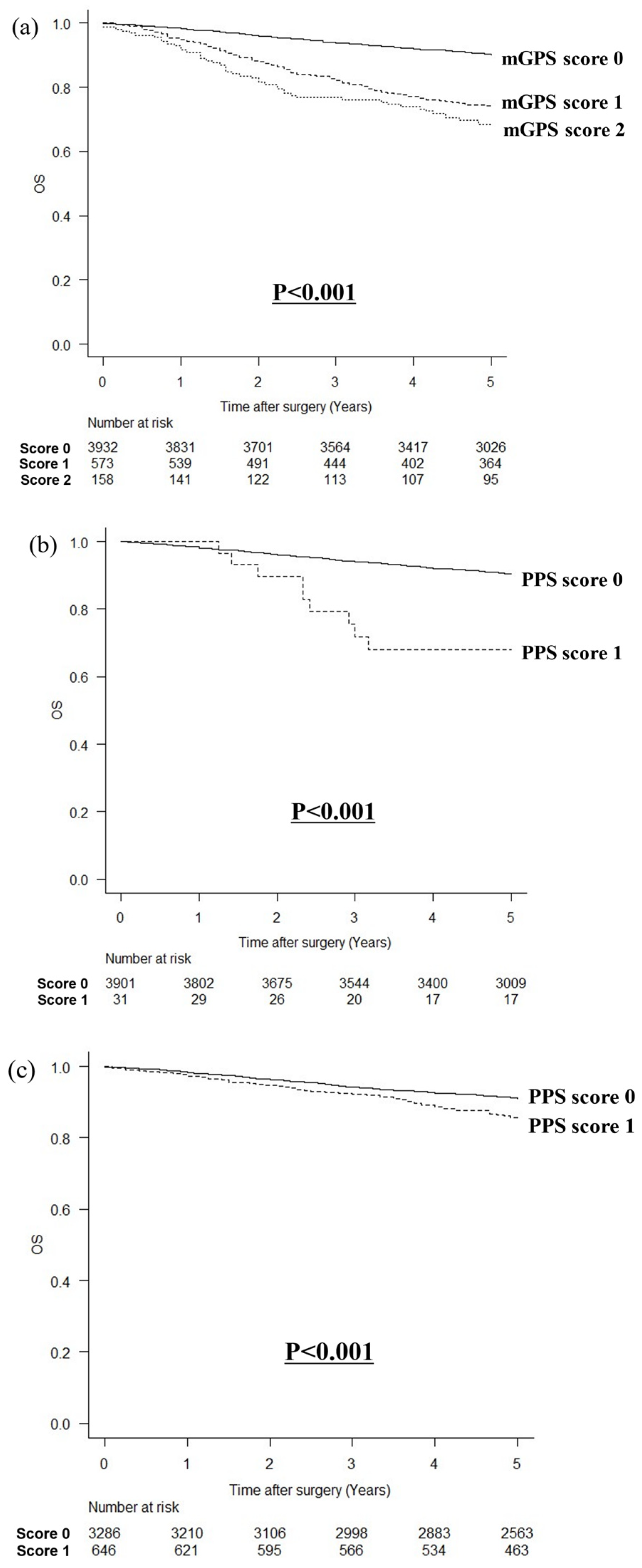 Cancers 16 03889 g003