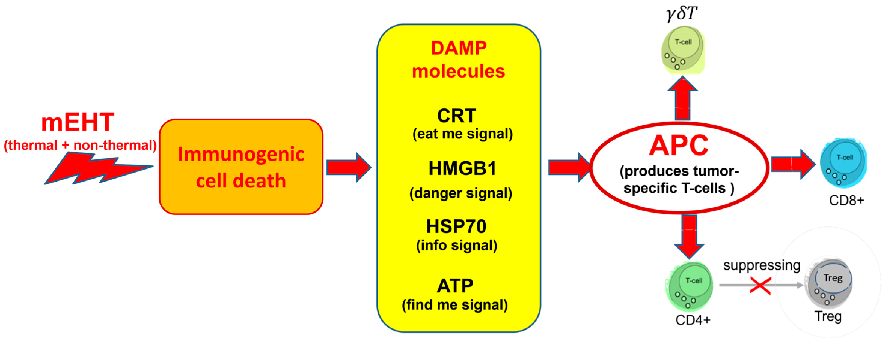 Cancers 16 03908 g001
