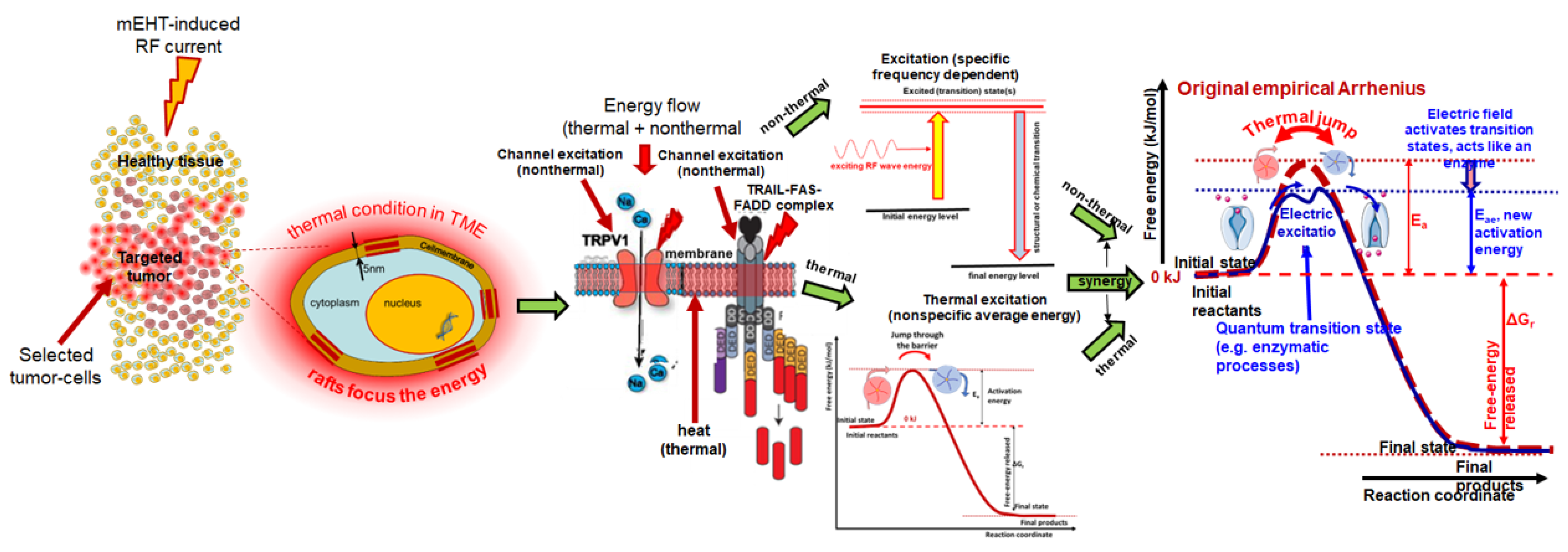 Cancers 16 03908 g0a1