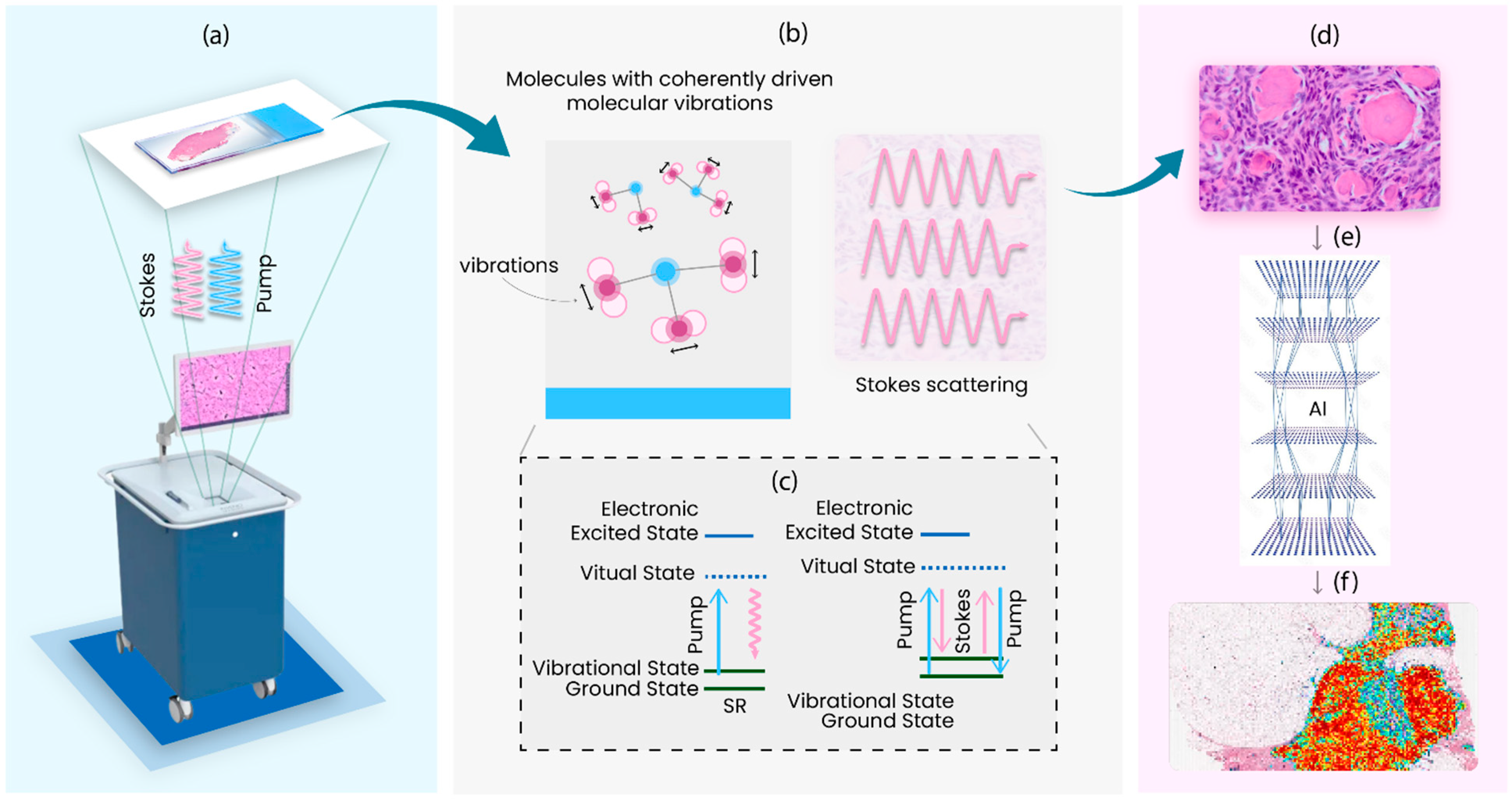 Cancers 16 03917 g001