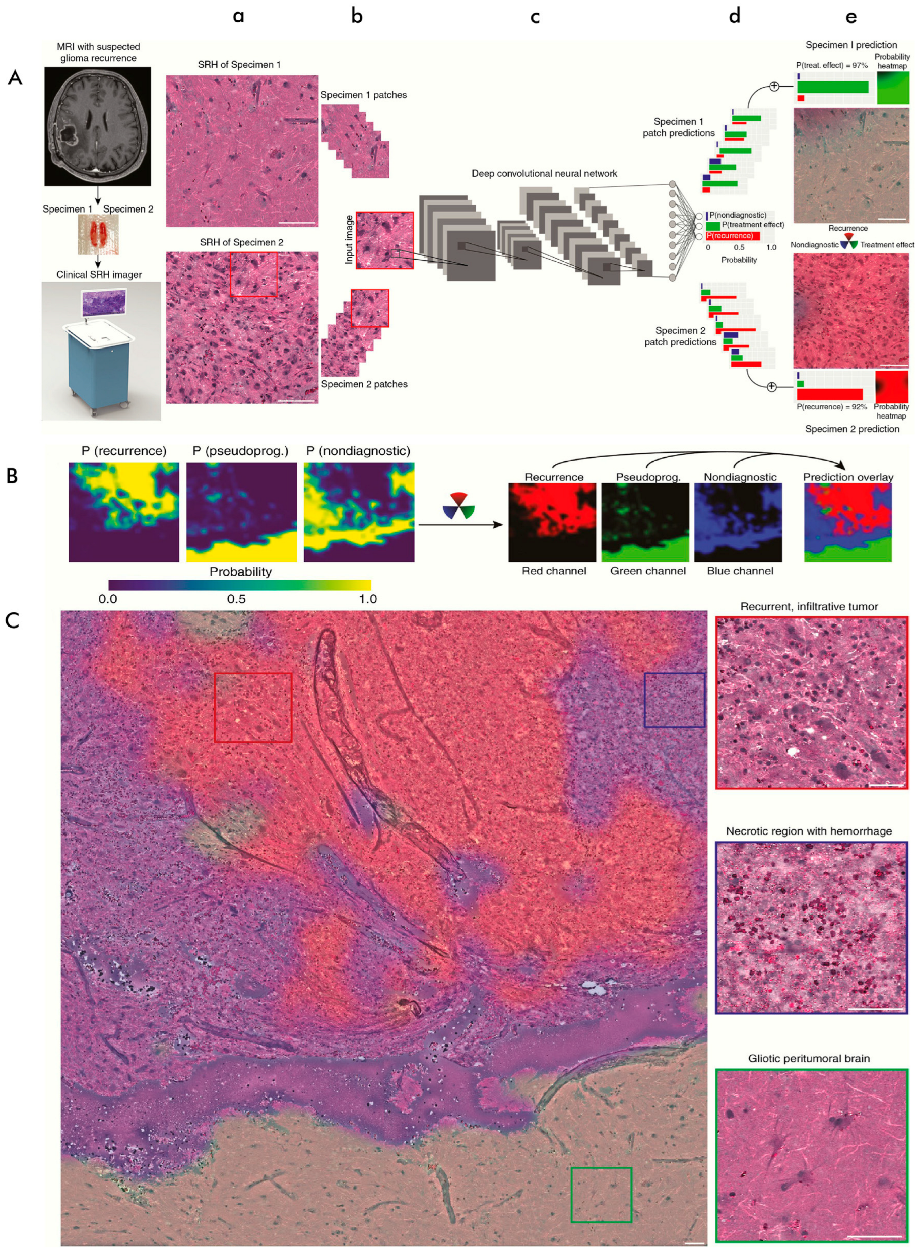 Cancers 16 03917 g005