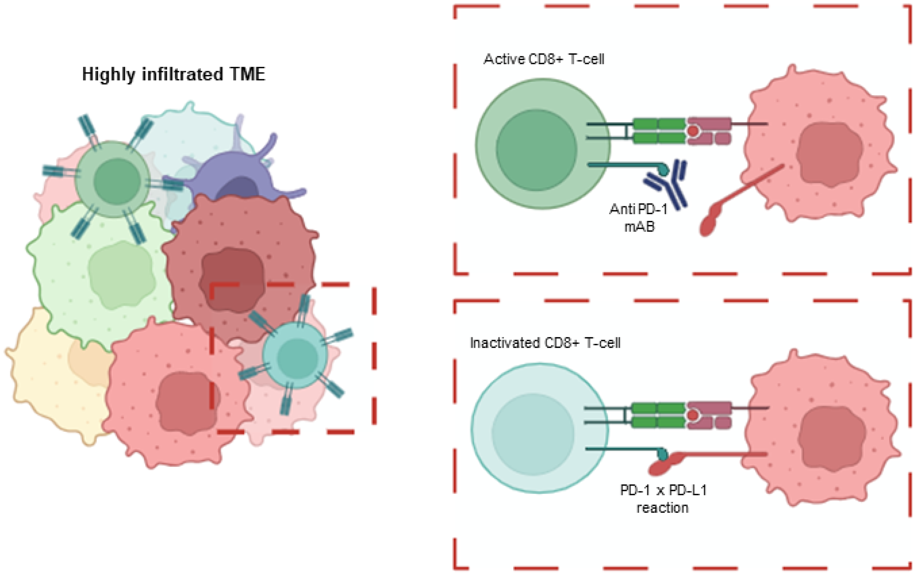 Cancers 16 03918 g001 Cancers 16 03918 g001