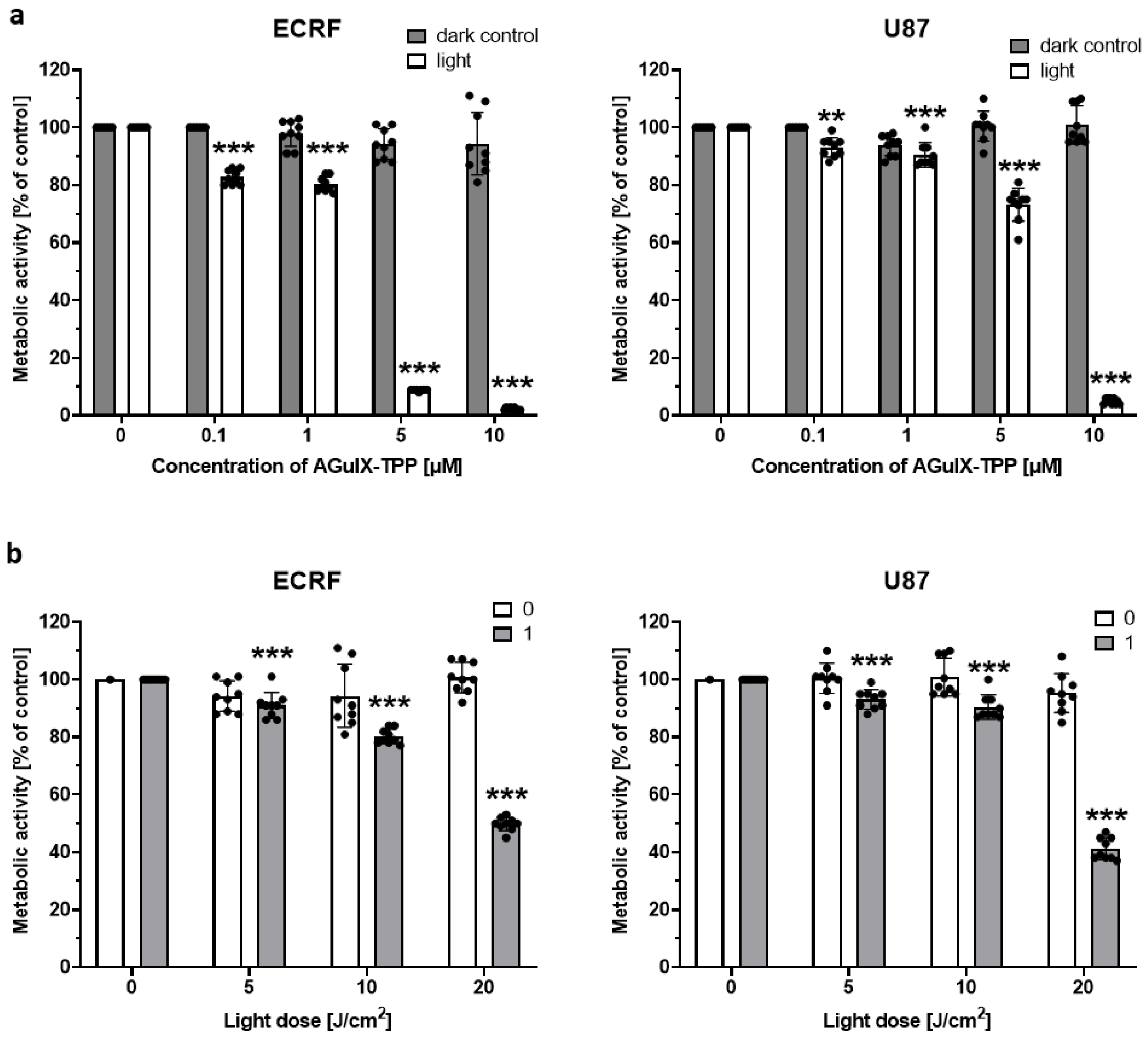 Cancers 16 03924 g003 Cancers 16 03924 g003