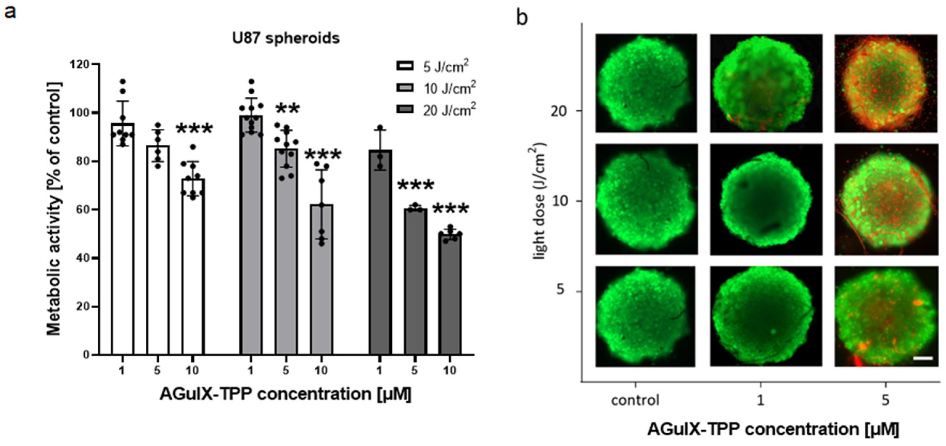 Cancers 16 03924 g004 Cancers 16 03924 g004