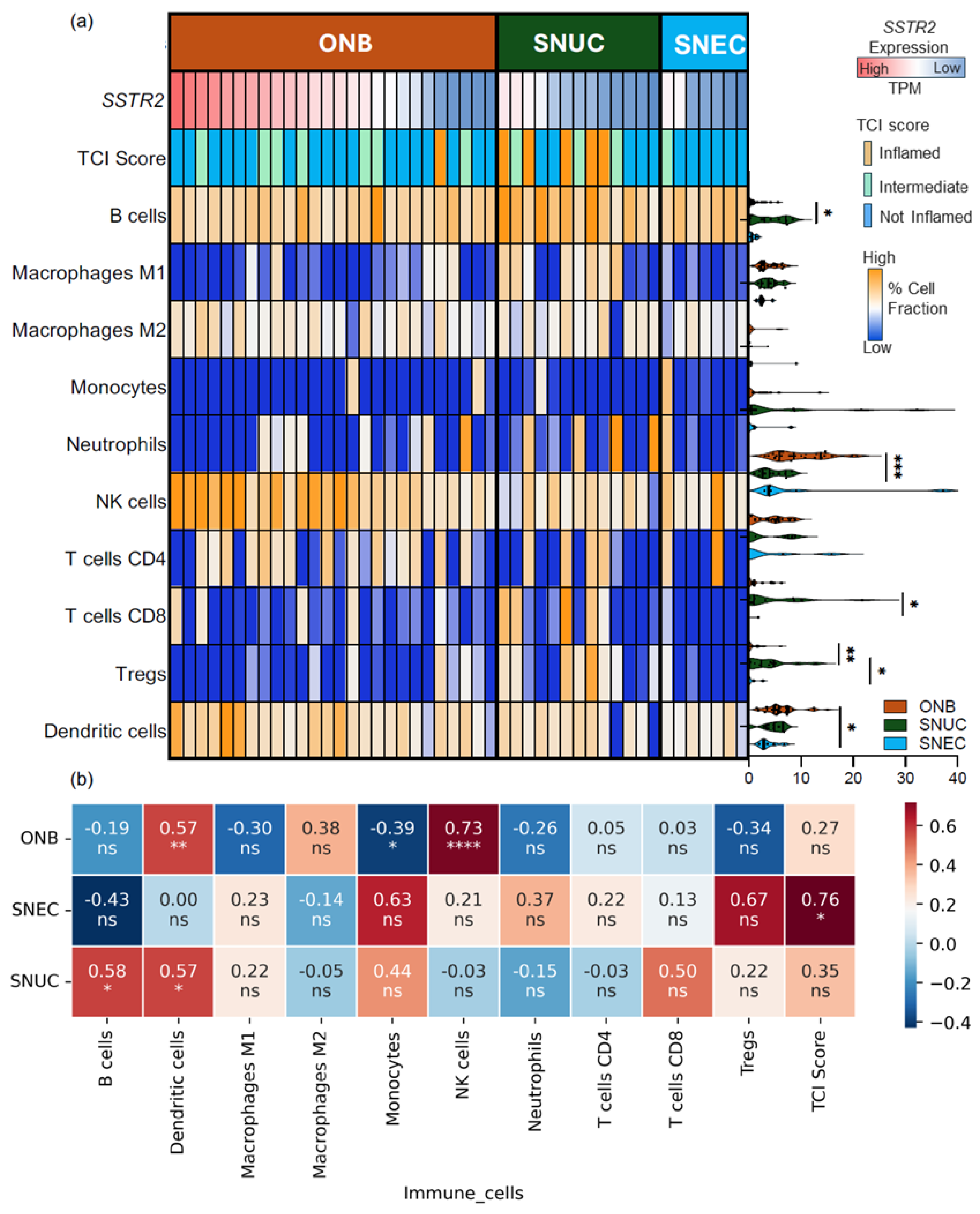 Cancers 16 03931 g002