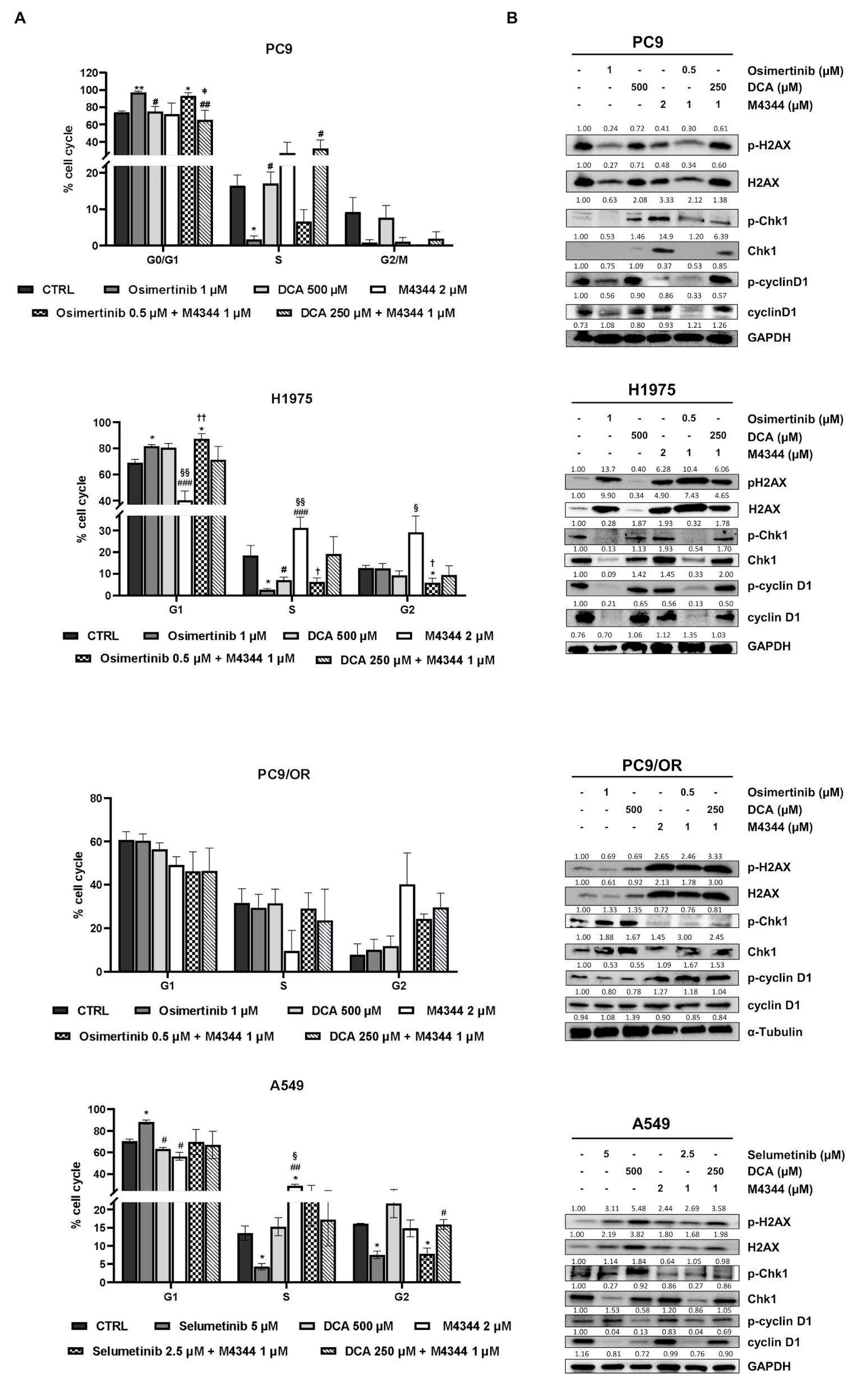 Cancers 16 03941 g003