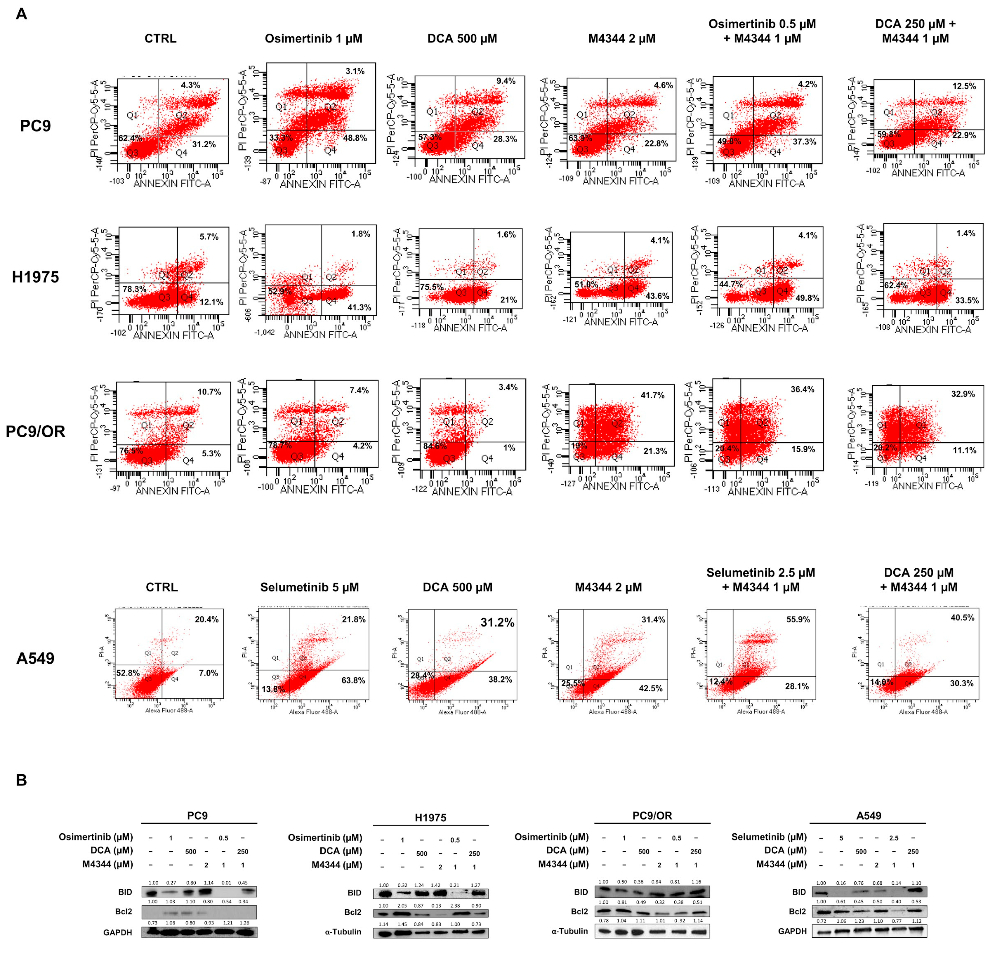 Cancers 16 03941 g005
