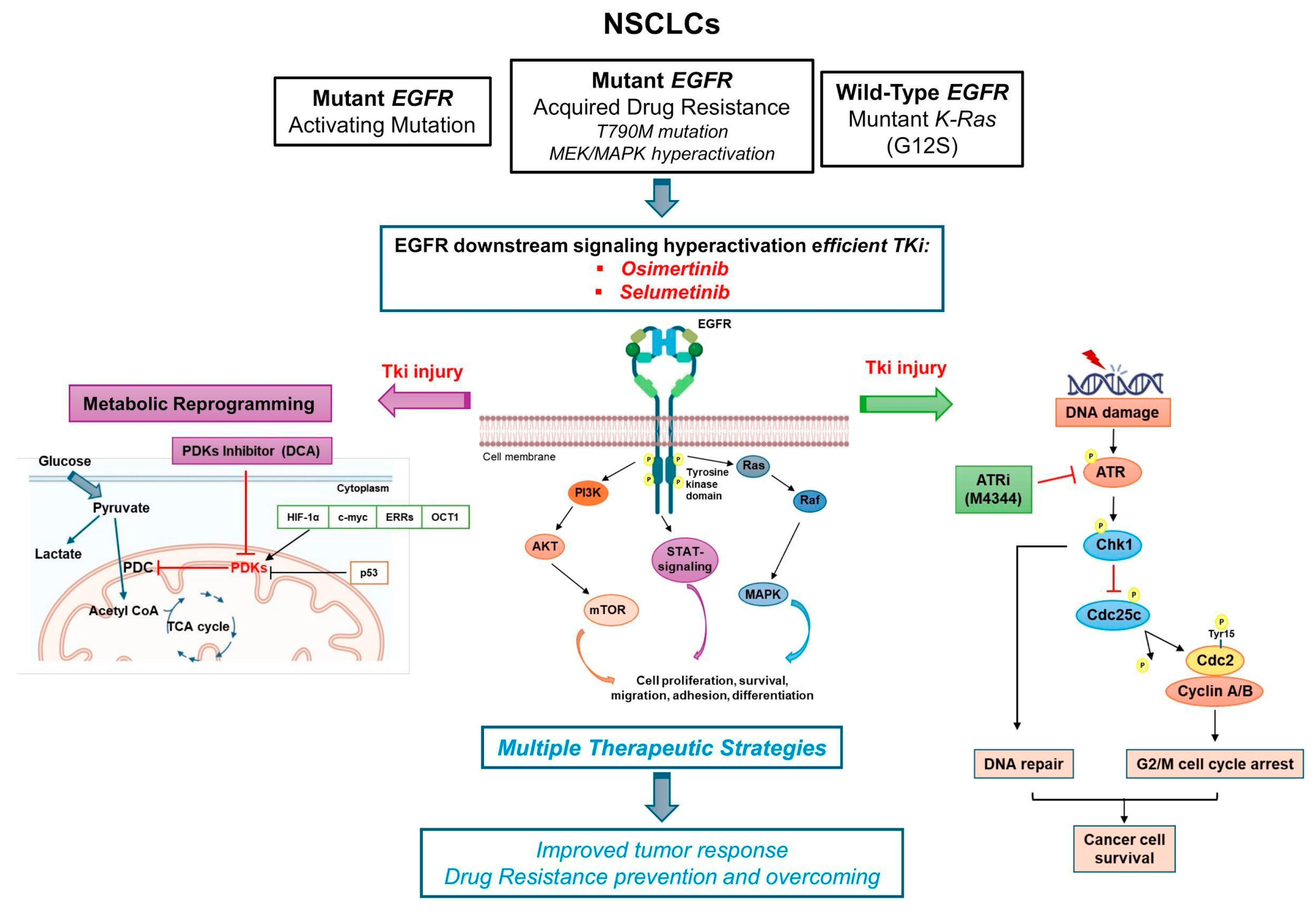 Cancers 16 03941 g008