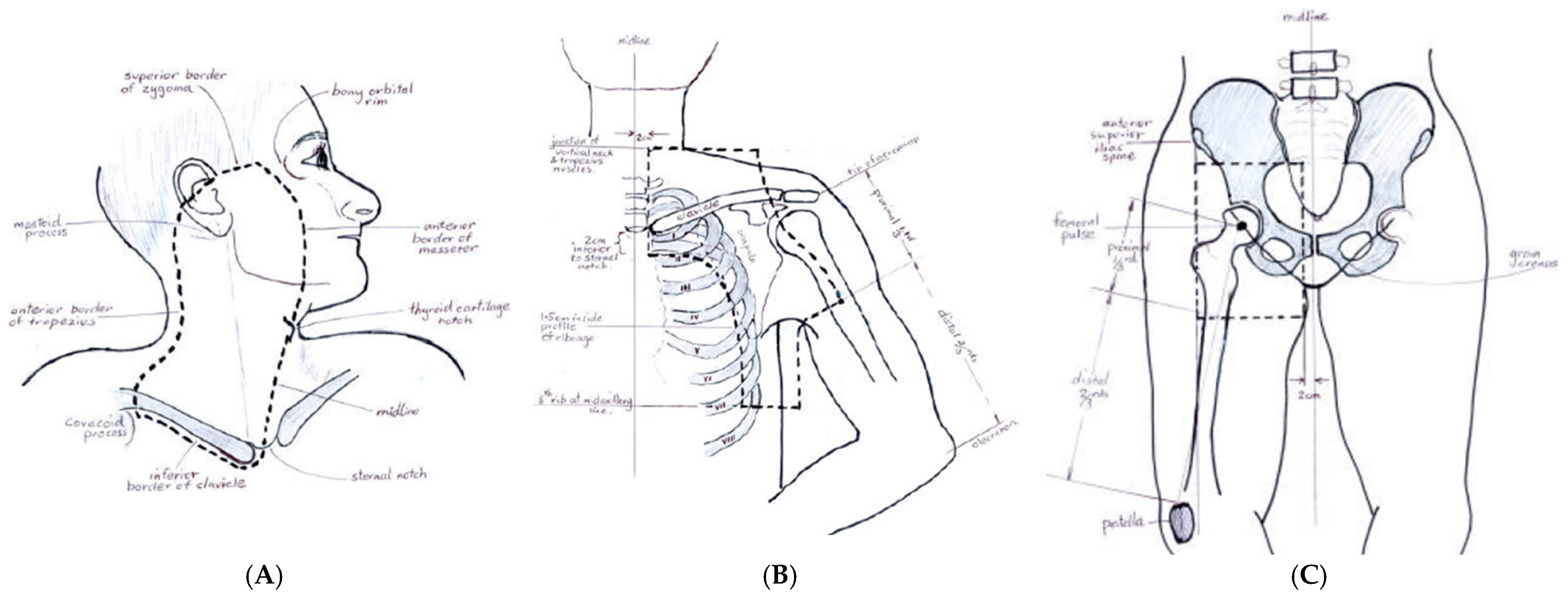 Cancers 16 03950 g001