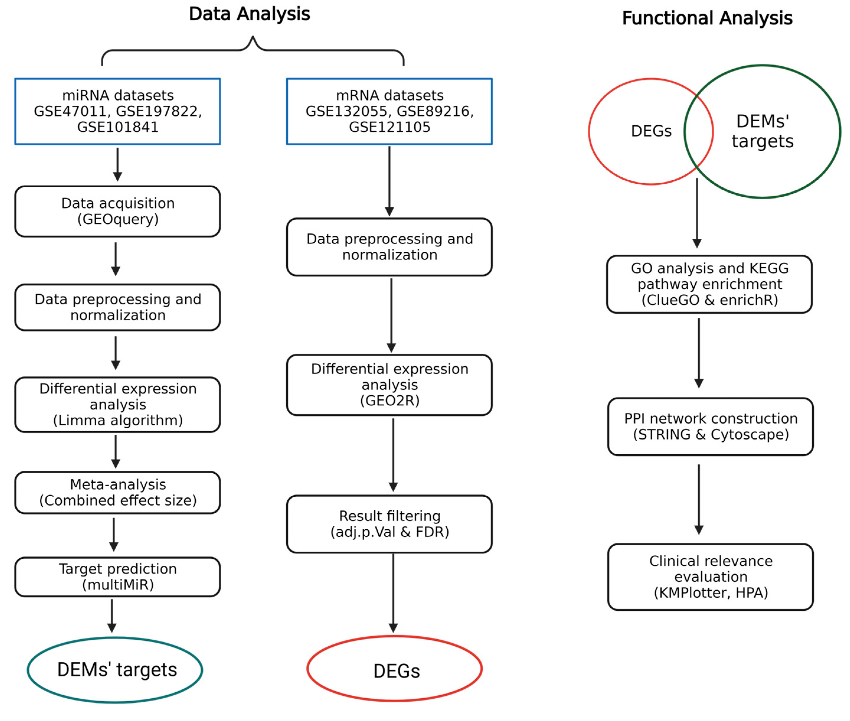 Cancers 16 03962 g001