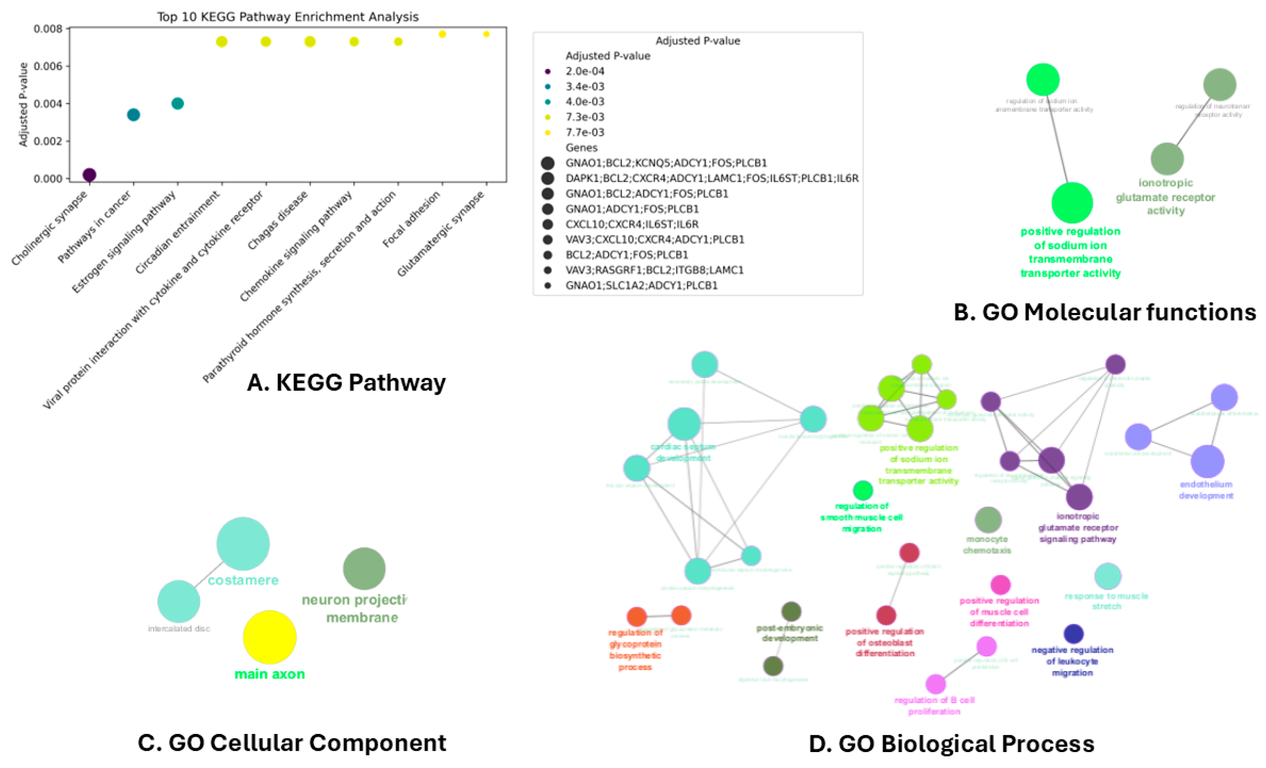 Cancers 16 03962 g003
