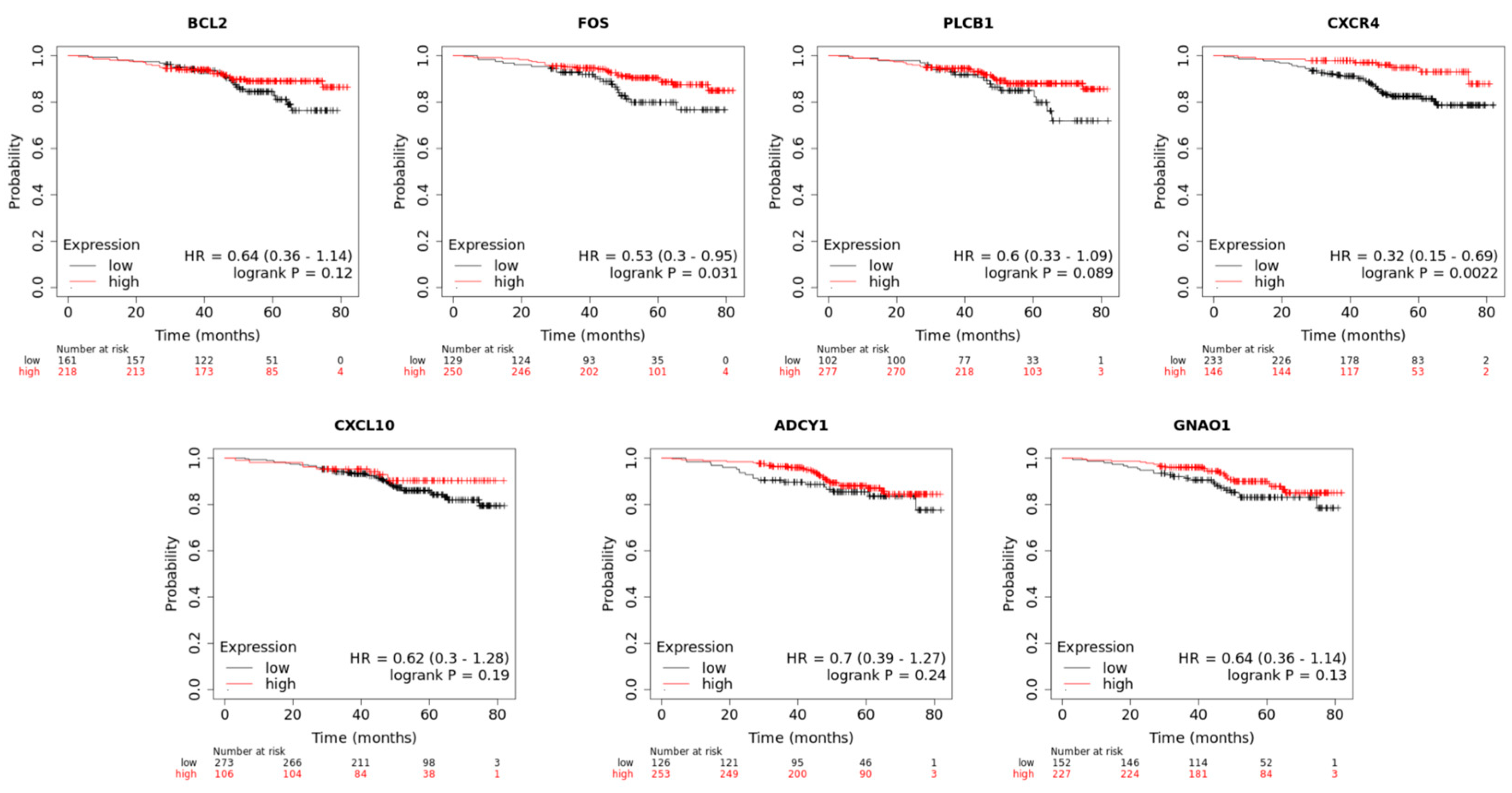 Cancers 16 03962 g005