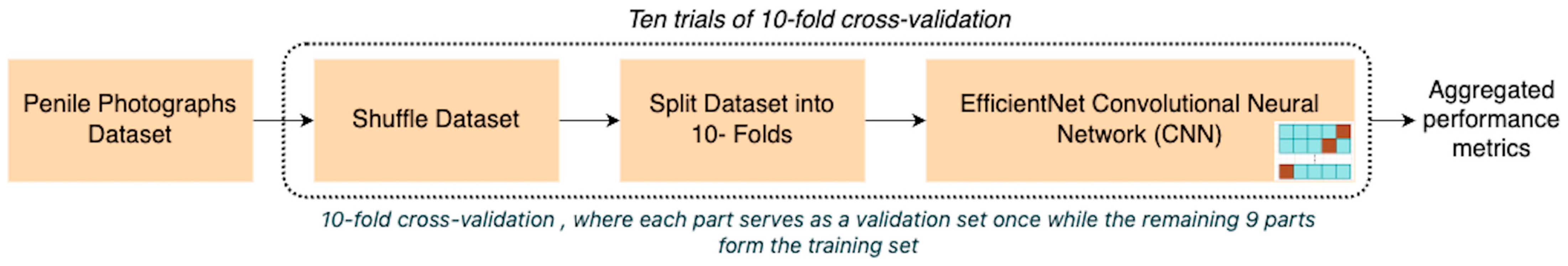 Cancers 16 03971 g003